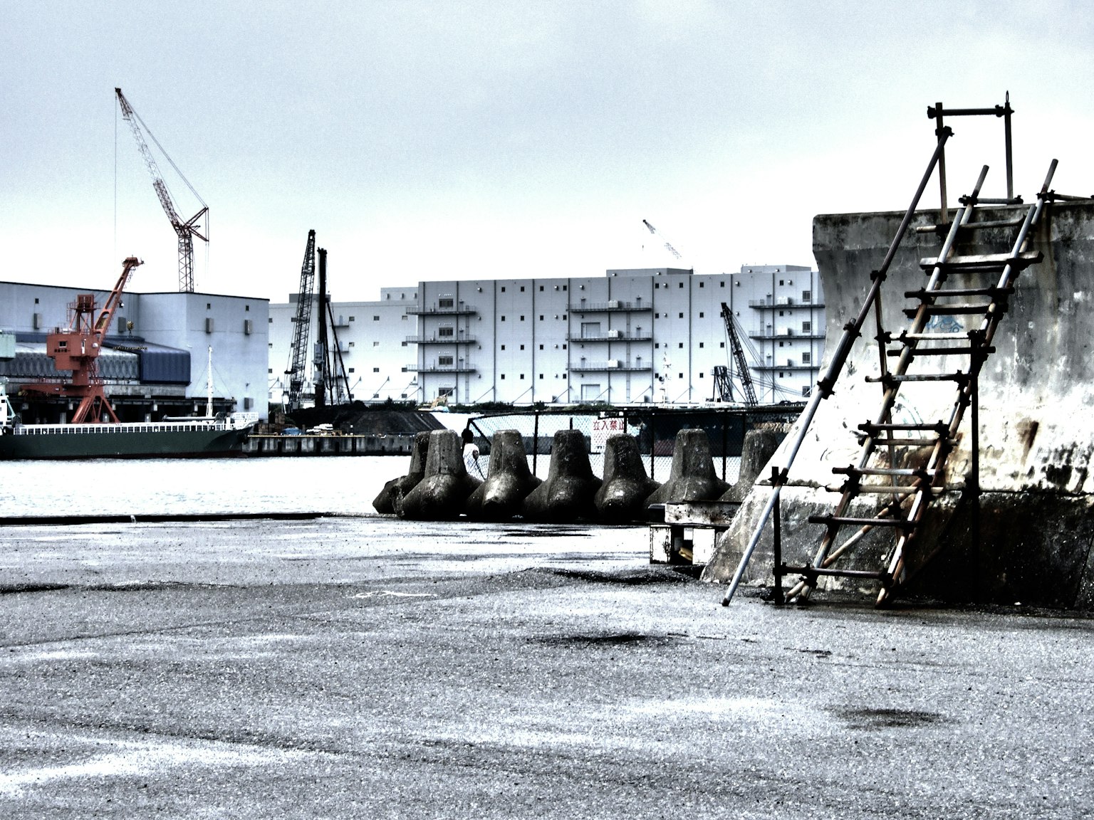 2024-05-red-and-nikon-image-6