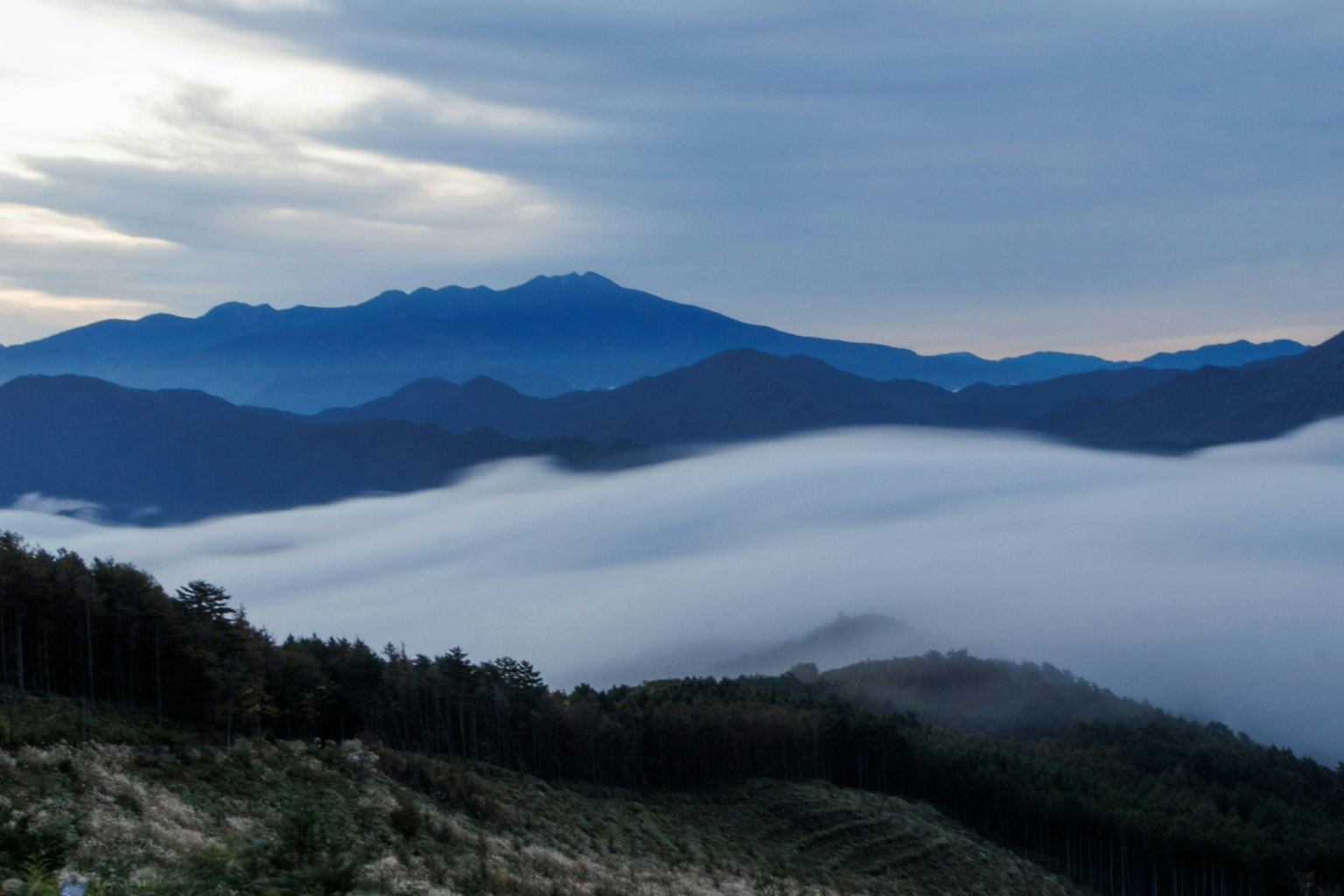 2025-11-pick-up-photos-no-244-248-image-7