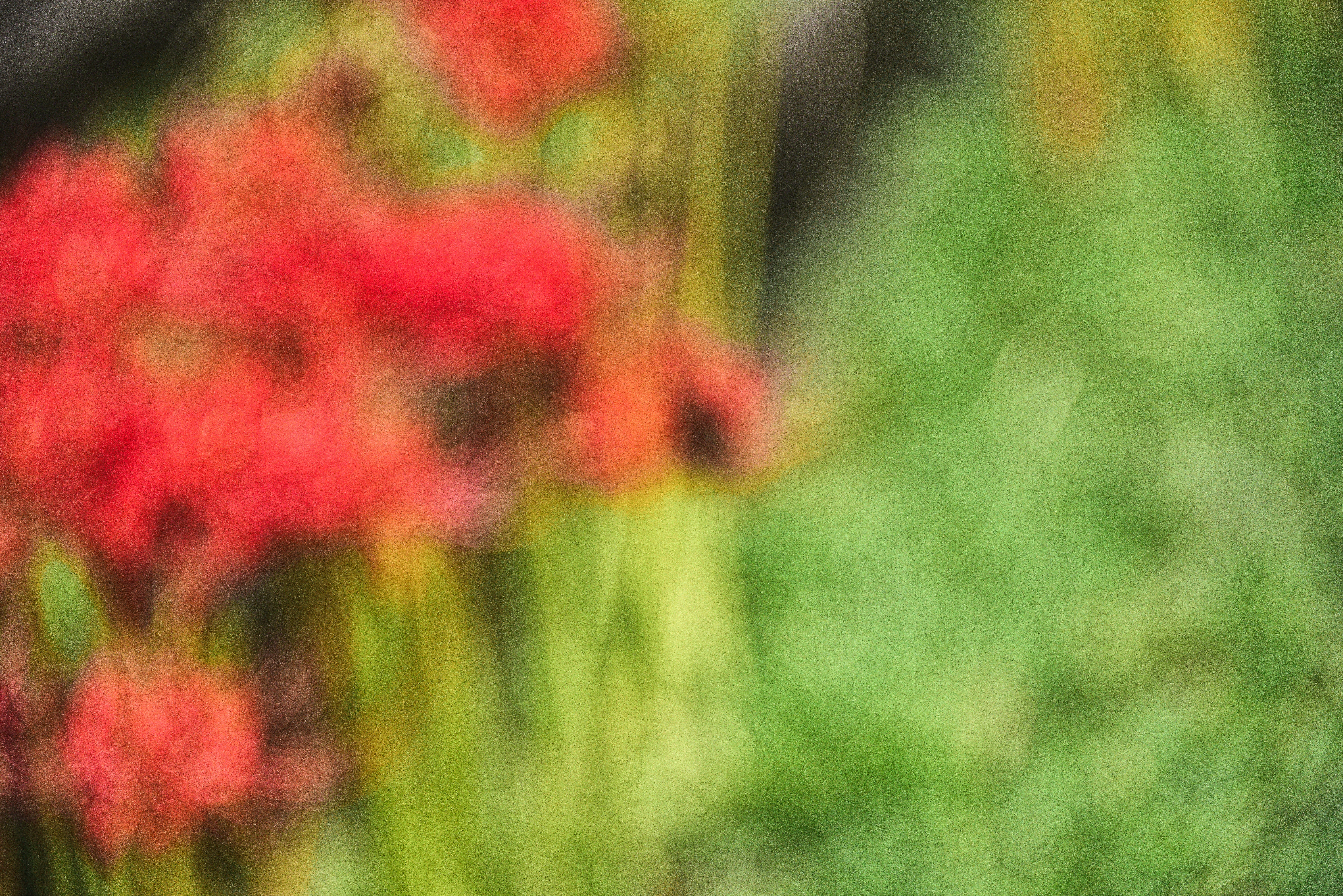 Photo by masakun