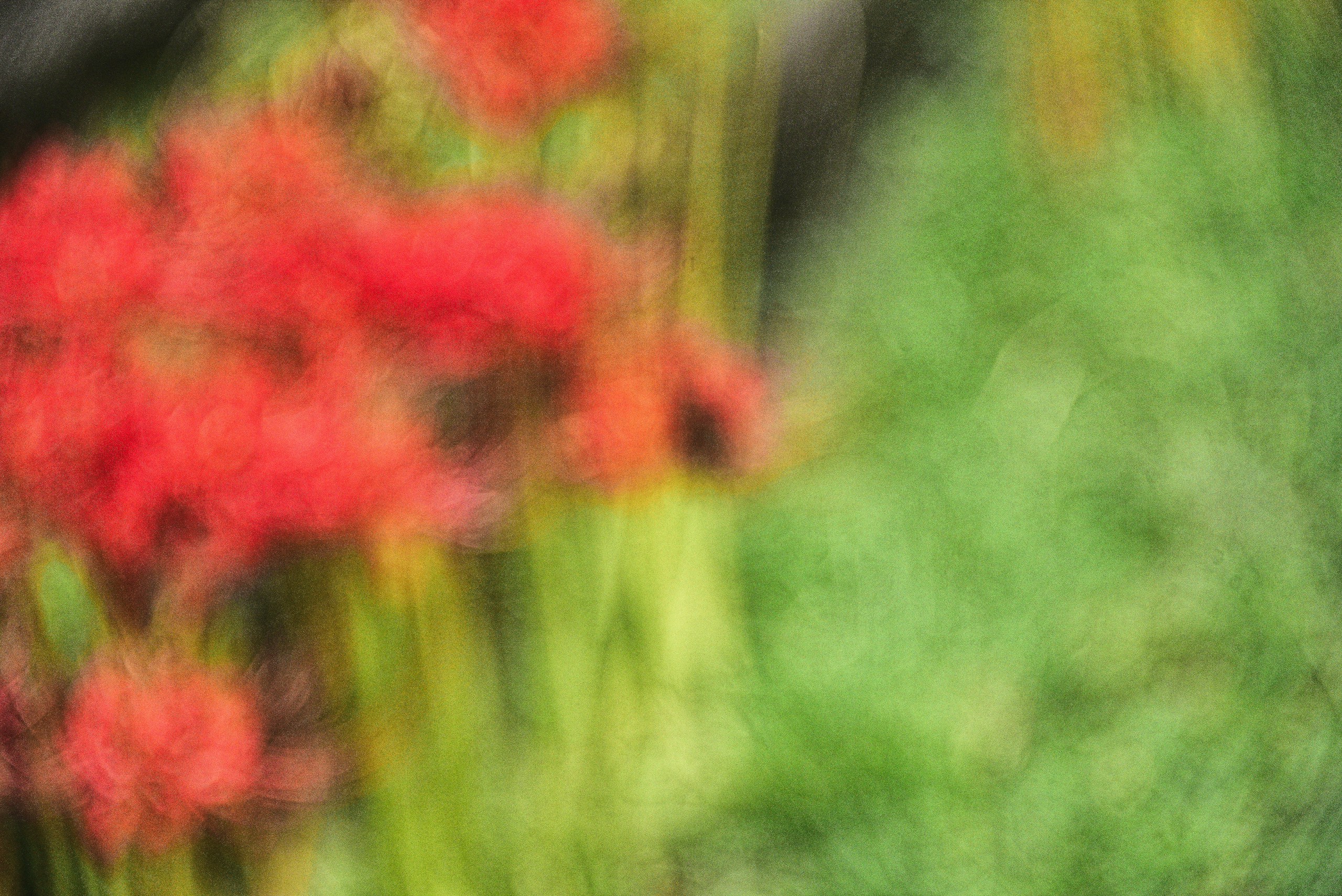 Photo by masakun