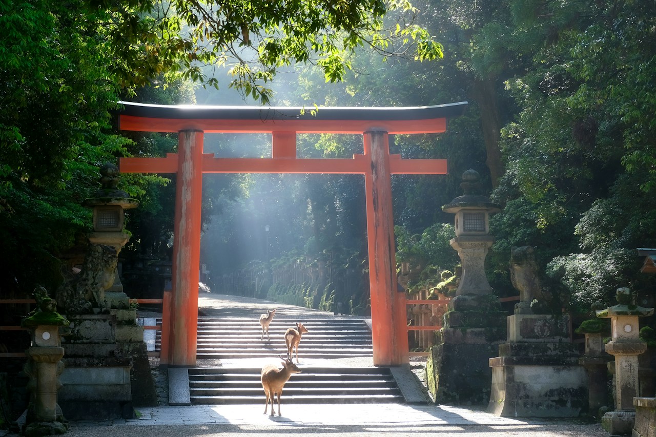 Image by Katsuyuki Miyanishi
