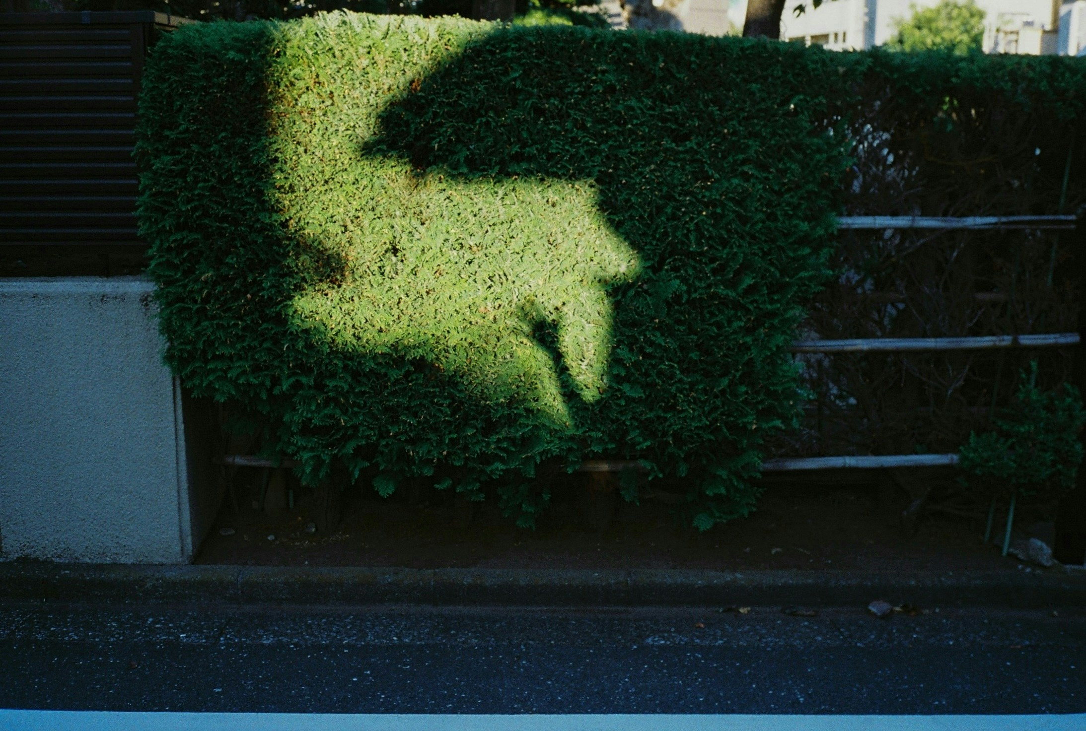 2026-06-find-new-pieces-neighborhood-image-16