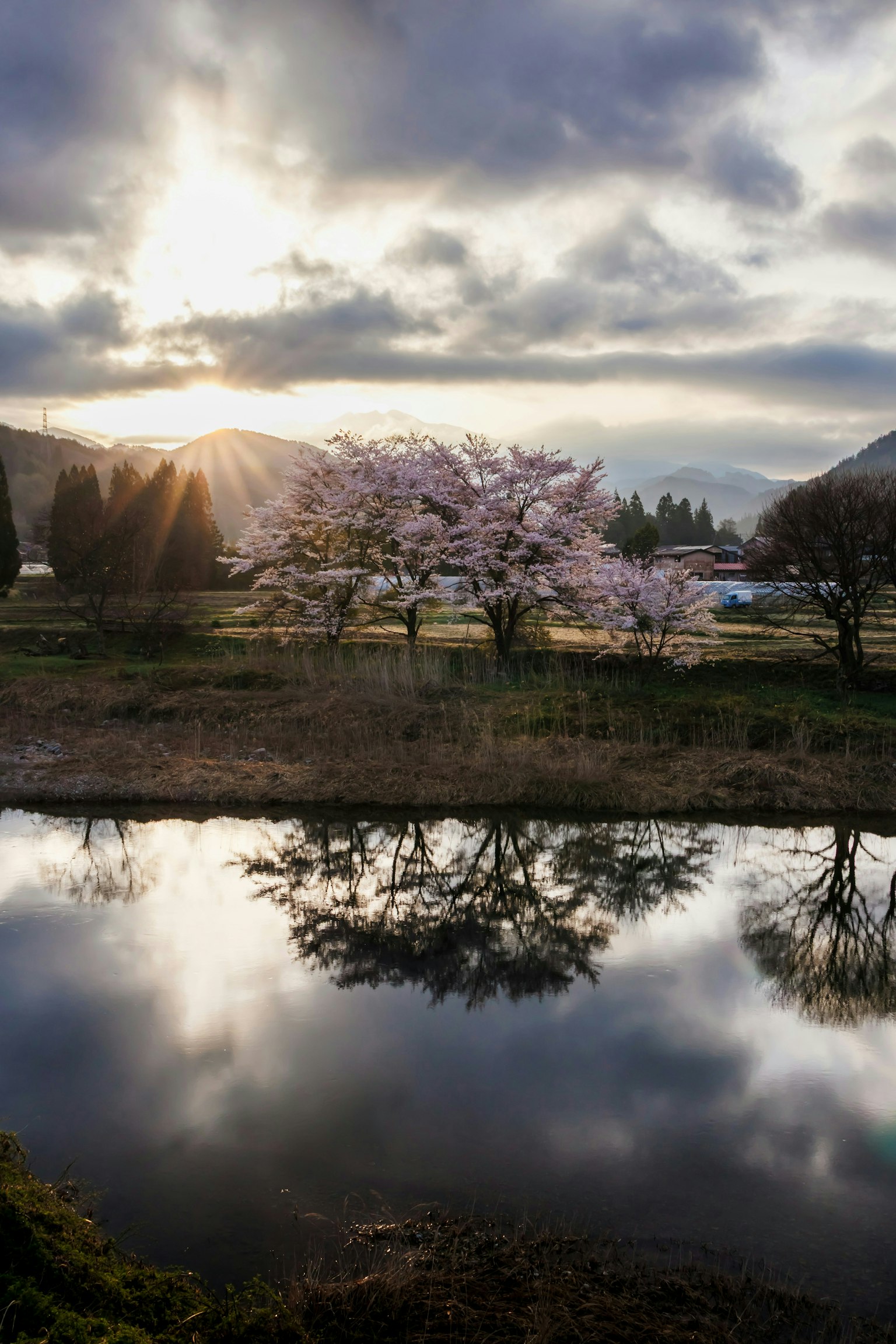 2025-06-ppp-review-by-yumi-image-13