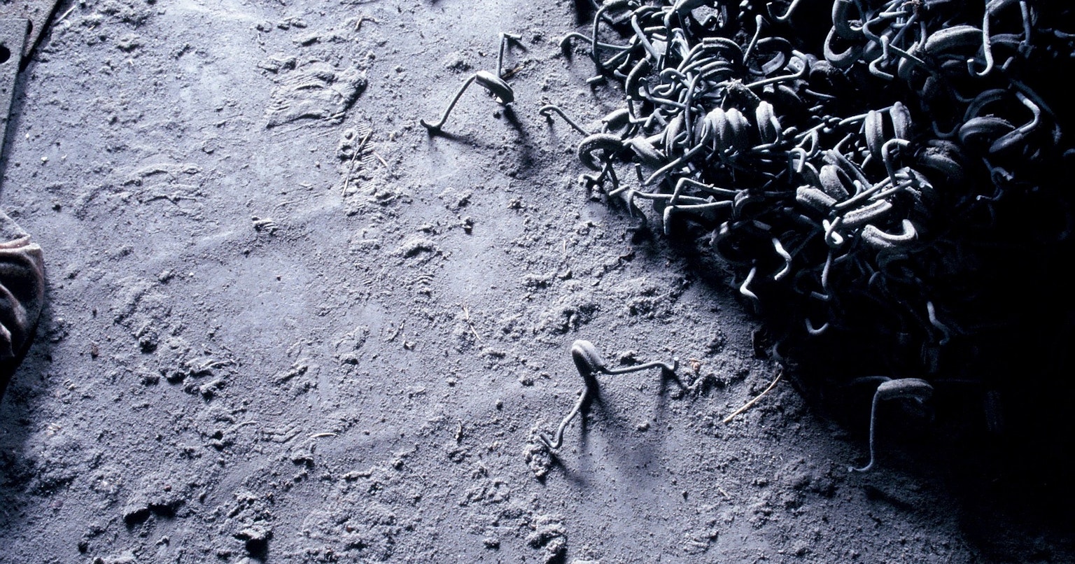 2024-05-fall-into-decay-cover-image