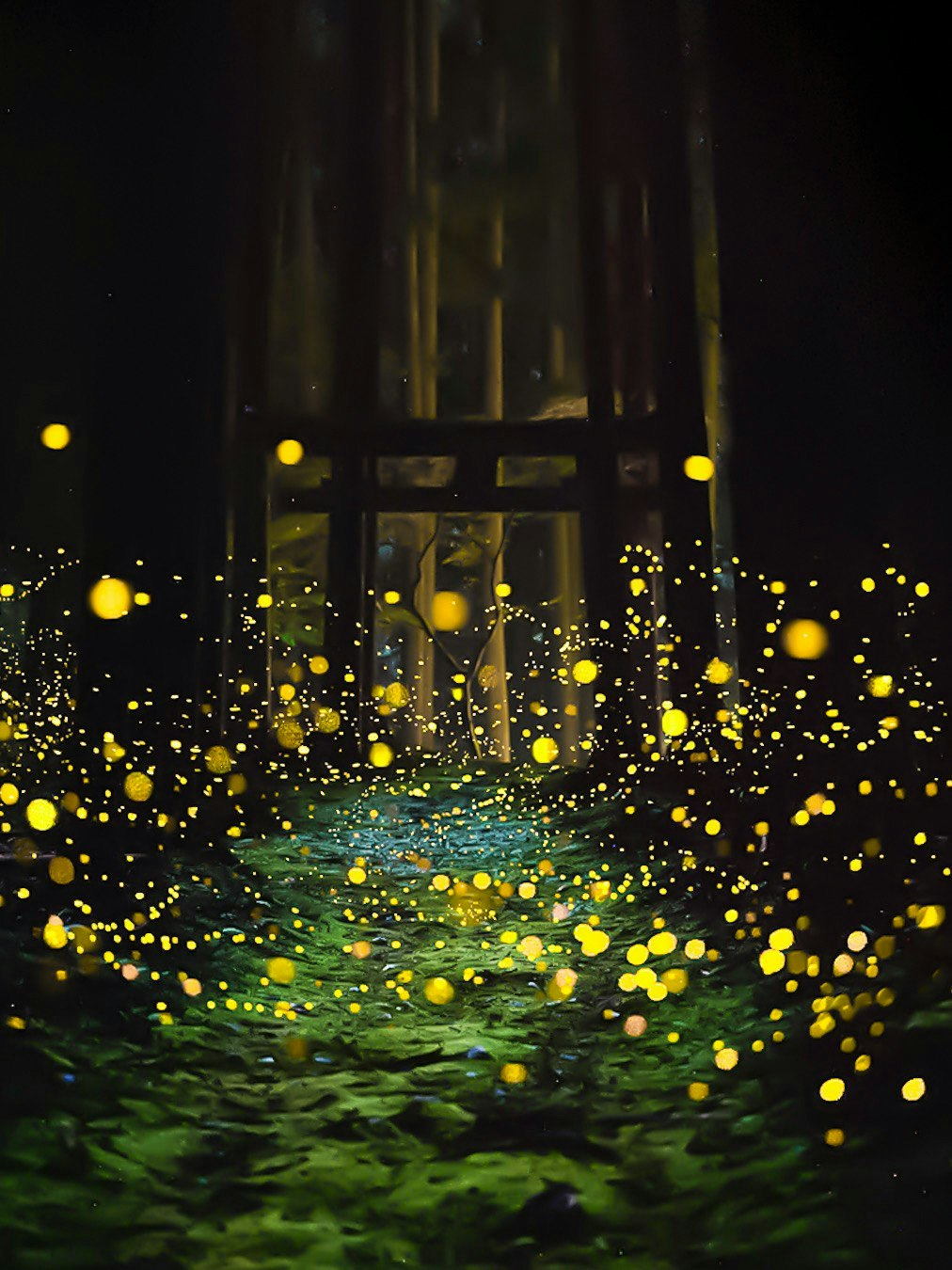 2025-06-moments-of-beginning-image-6