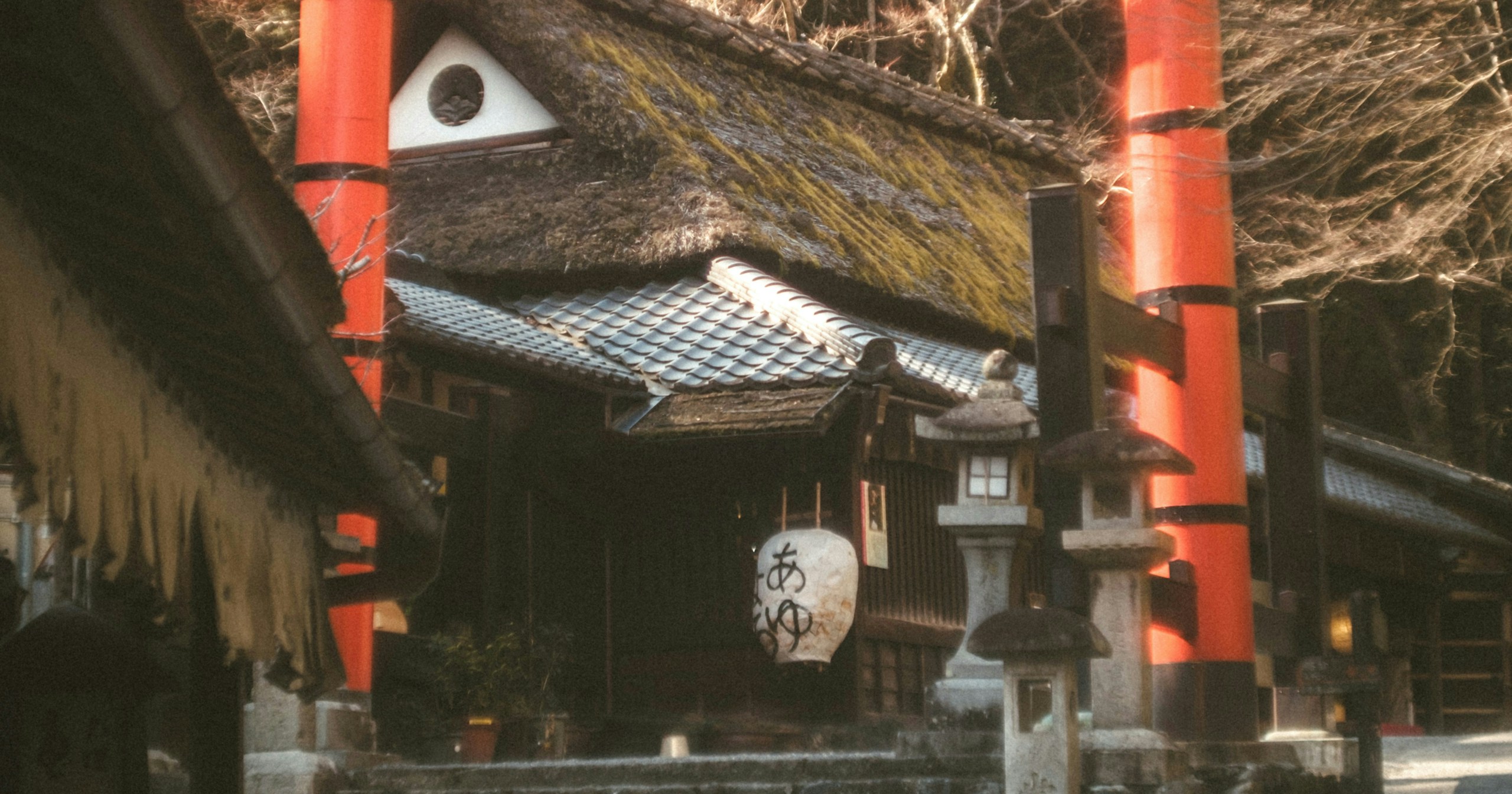tkが語る | 記憶を呼び起こすレンズ | Leica Summarit 50mm f1.5 | Knowledge #232