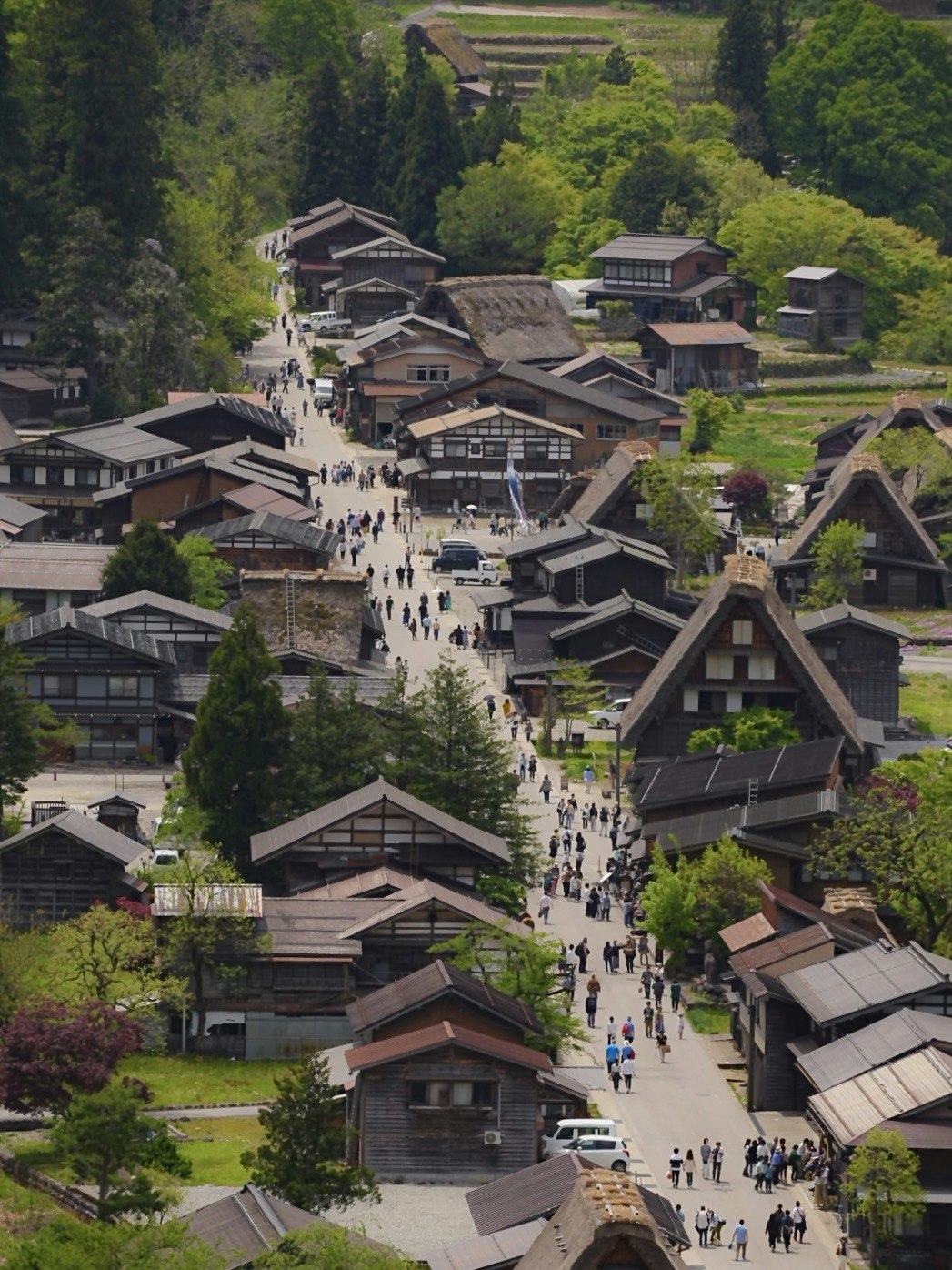 2024-05-letters-from-japan-image-11