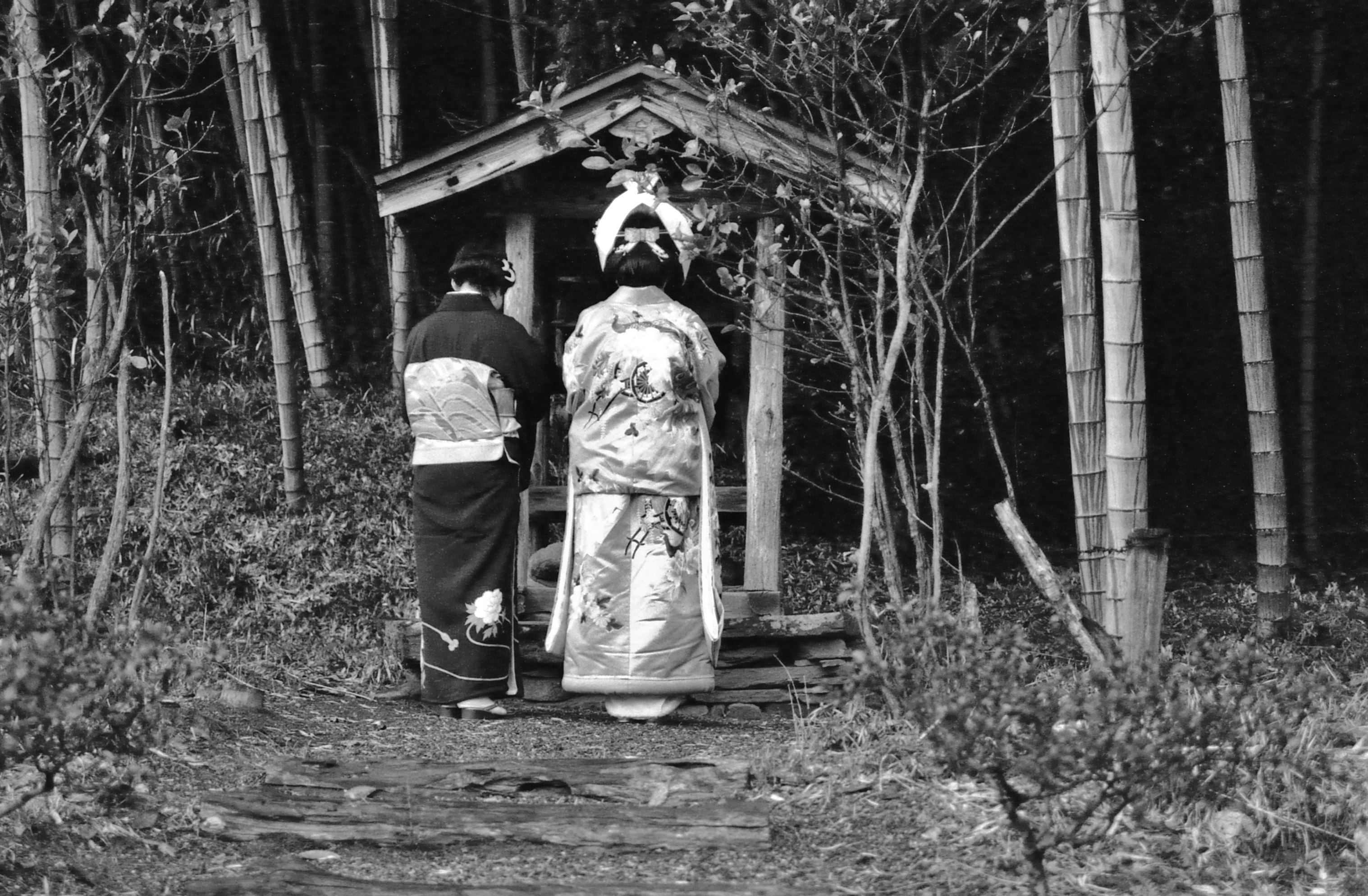 2025-12-memory-report-cover-image