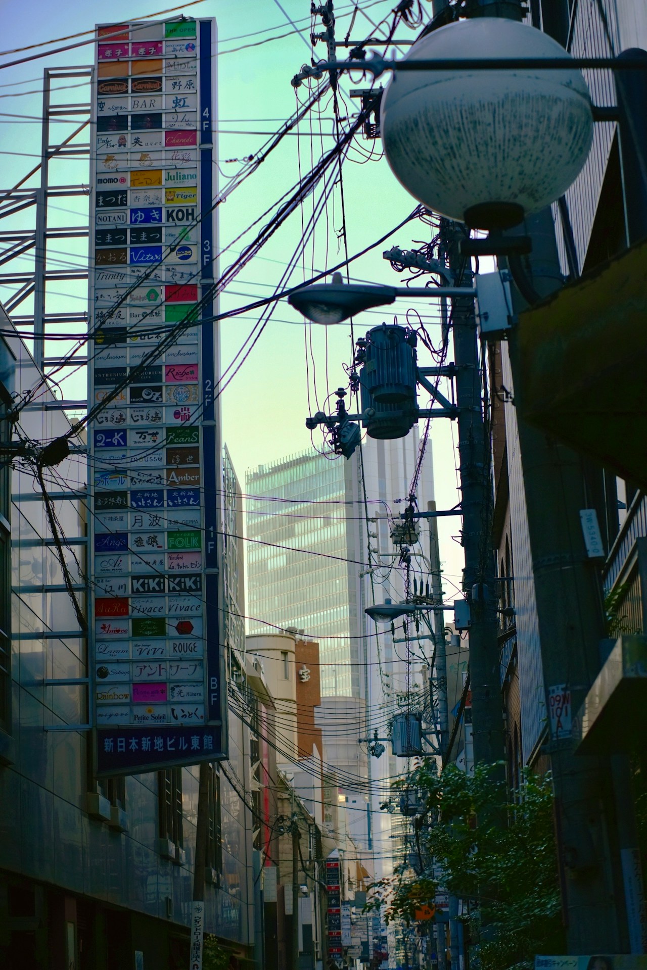 Image by the Oji brown