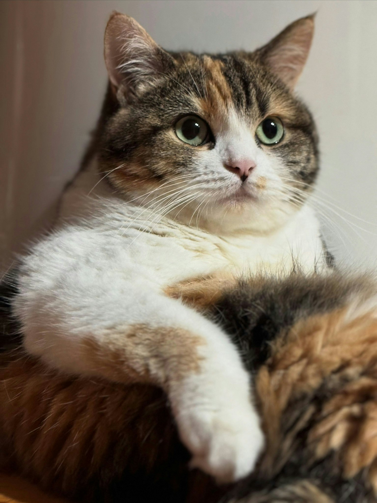 2025-08-relax-report-image-5