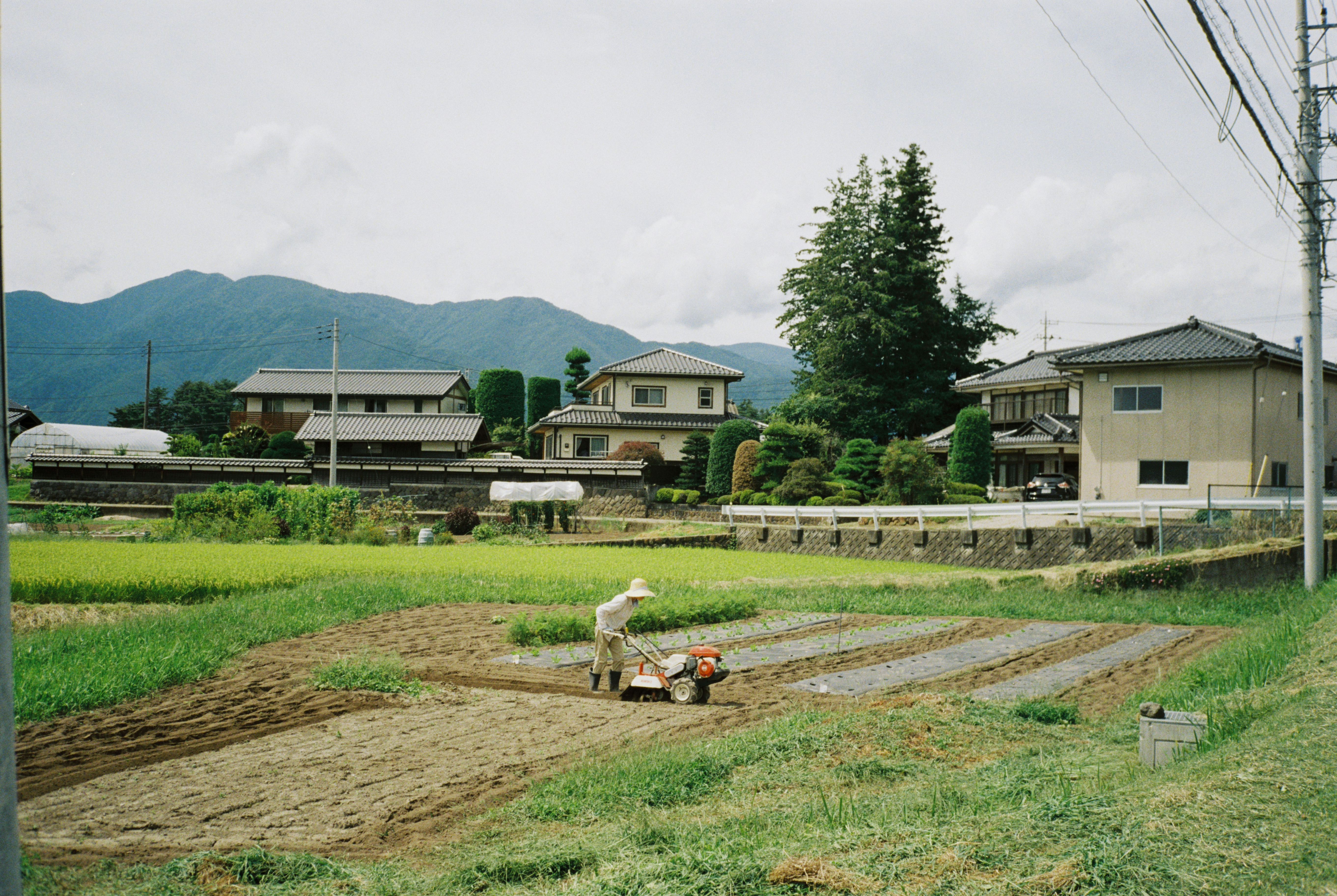 2026-07-west-tokyo-by-takaomikim-image-19