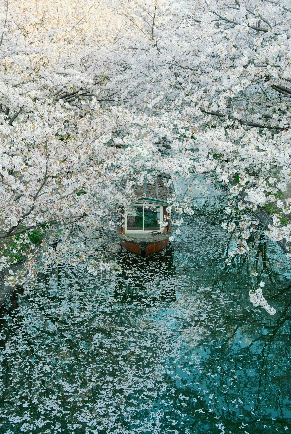 2025-04-photo-contest-pr-2-image-19