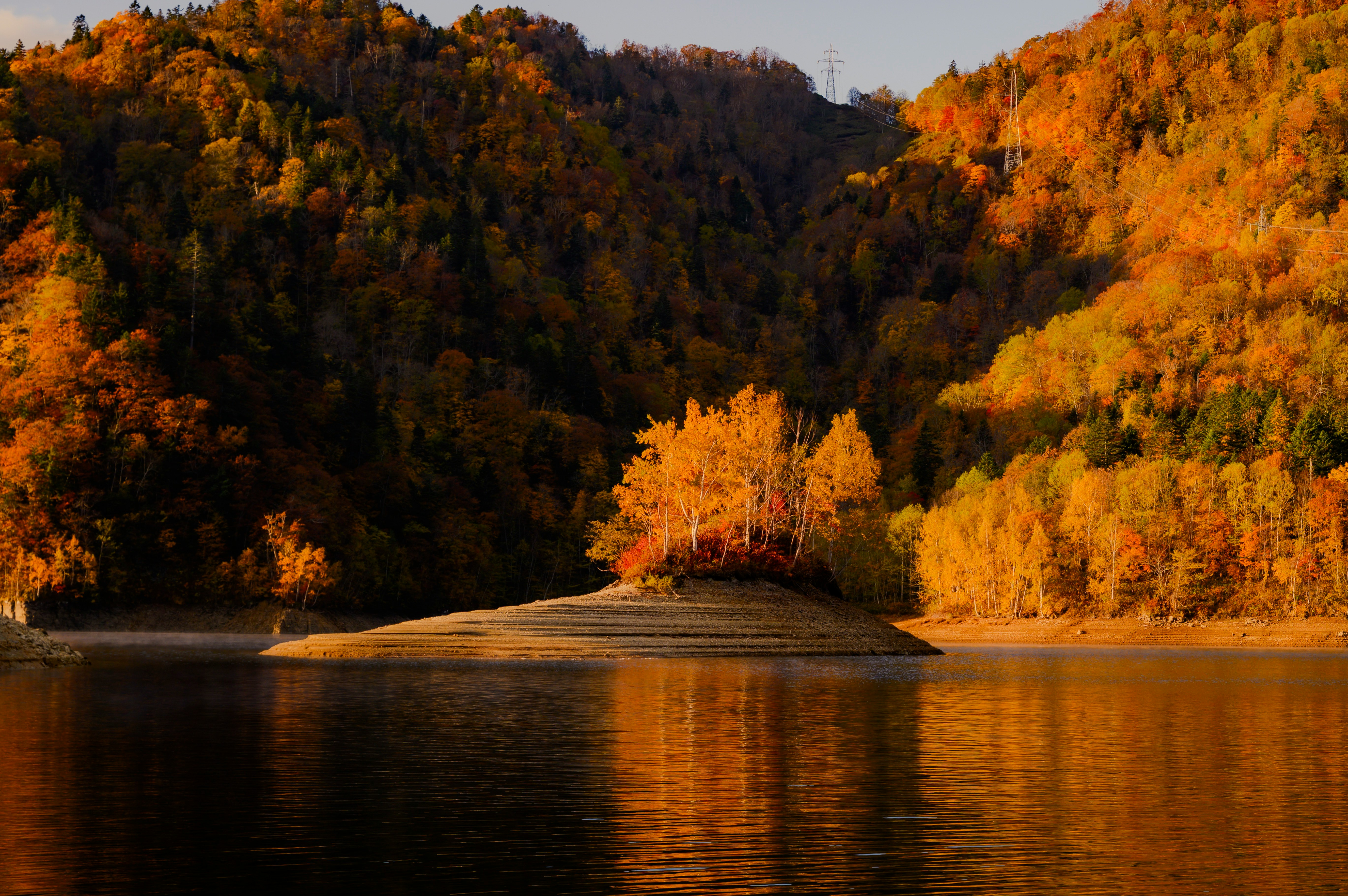 2025-11-pick-up-photos-no-244-248-cover-image