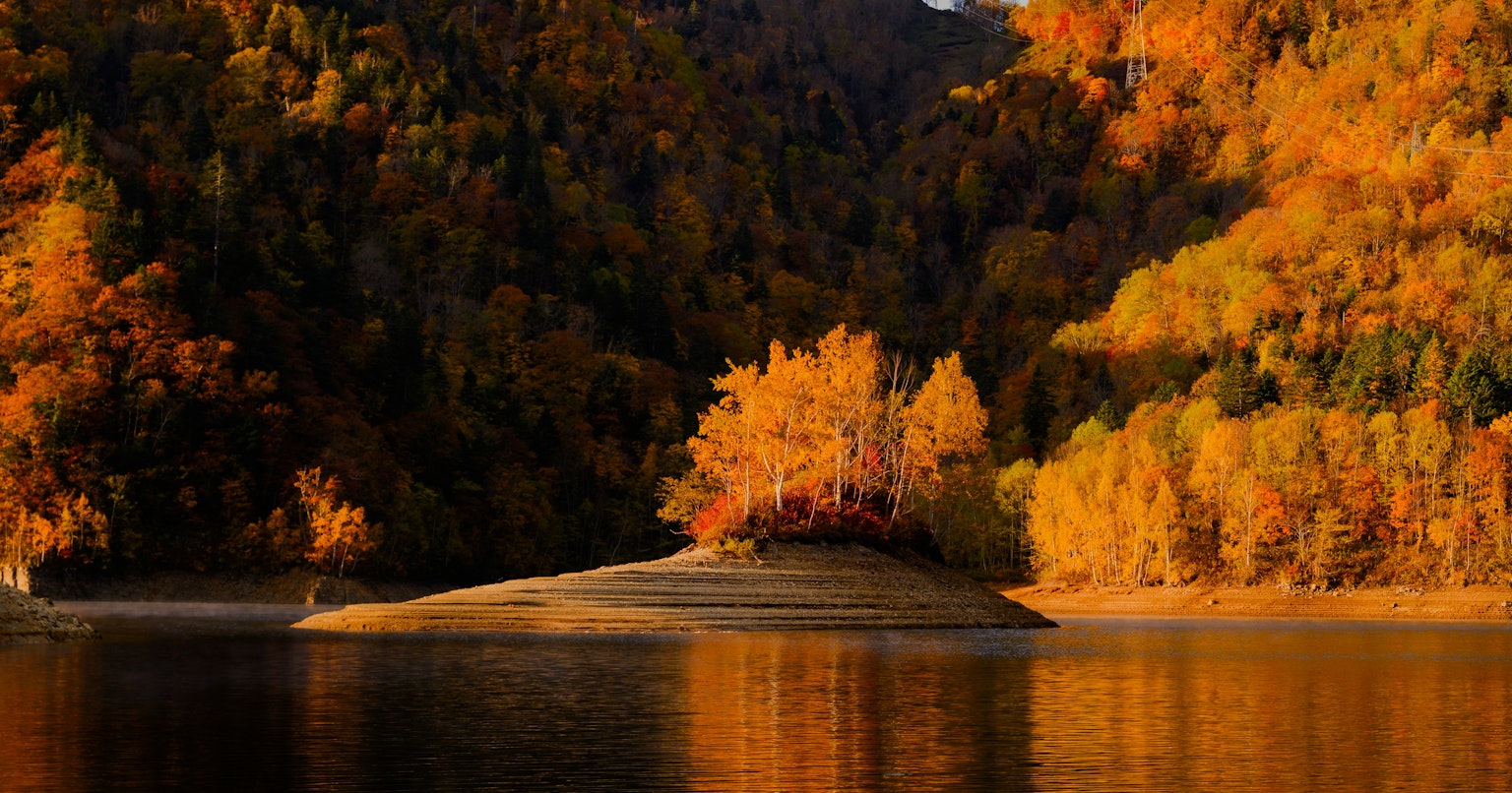 2025-11-pick-up-photos-no-244-248-cover-image