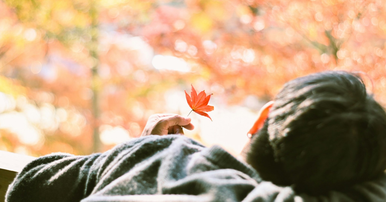 2025-12-enrich-my-lifetime-award-cover-image