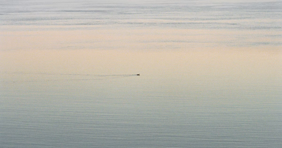 JIYEJI erzählt | Die geliebte Kamera und geerbte Zeit | Minolta dynax 7000i | Knowledge #486