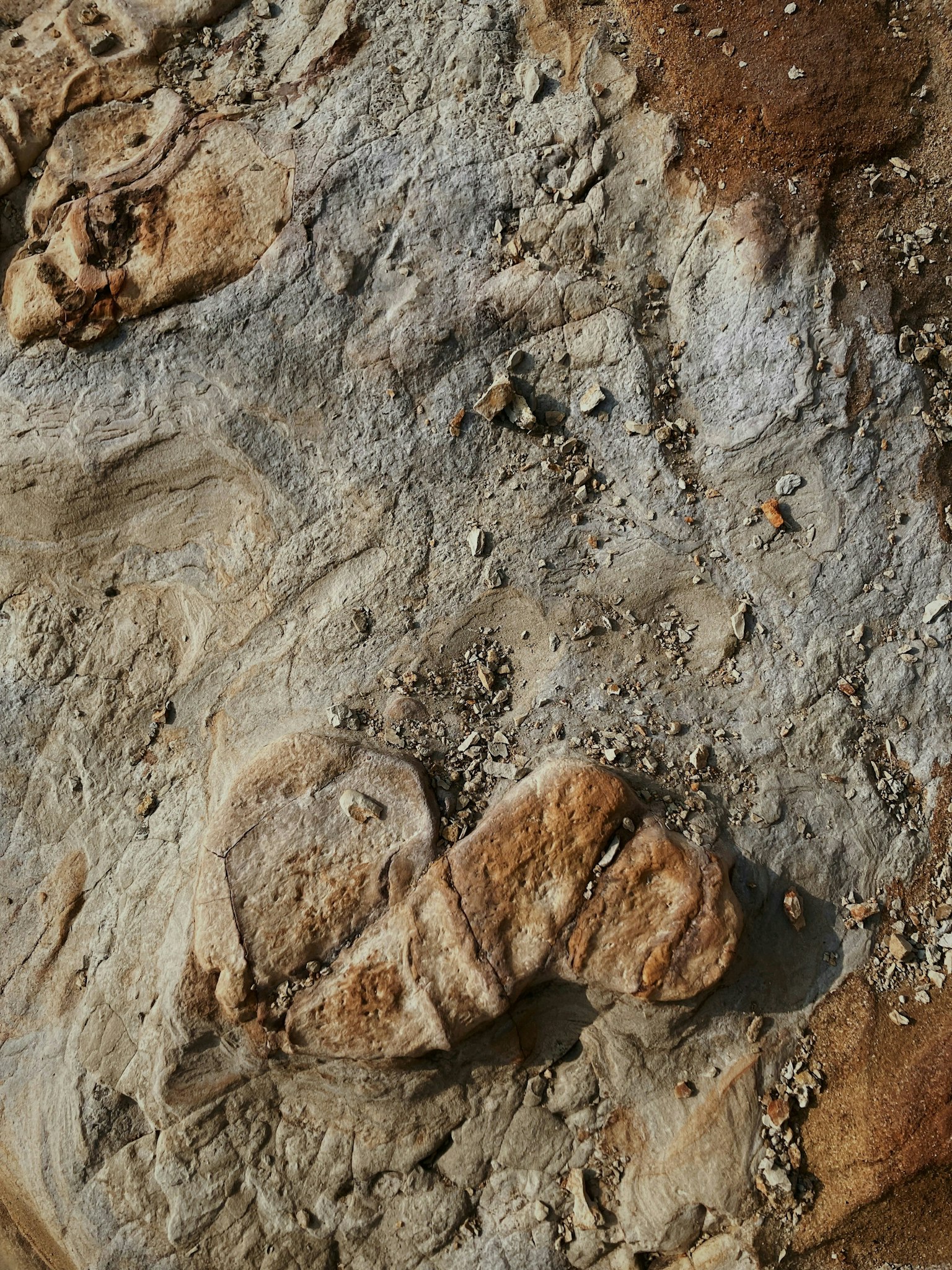 2025-08-pick-up-photos-no-169-173-image-9