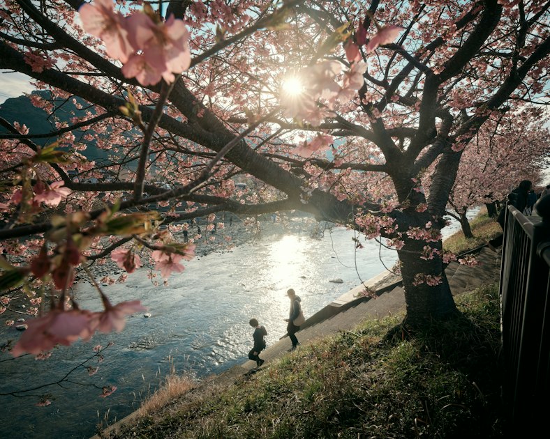 cizucu Hosts 'Spring Awakening' Award Announcement | Challenge #204 ...