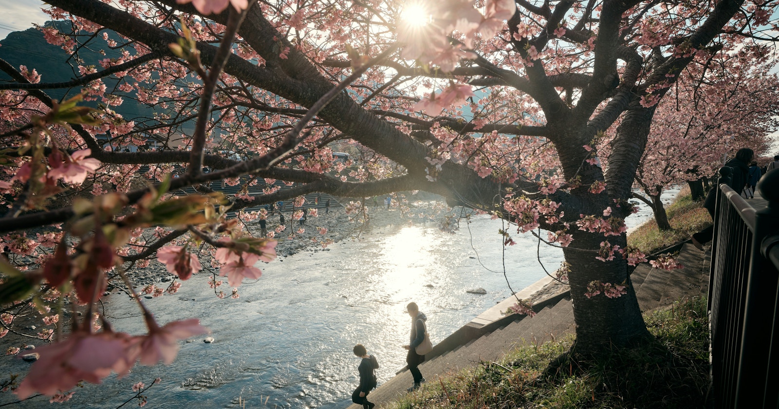 cizucu Hosts 'Spring Awakening' Award Announcement | Challenge #204