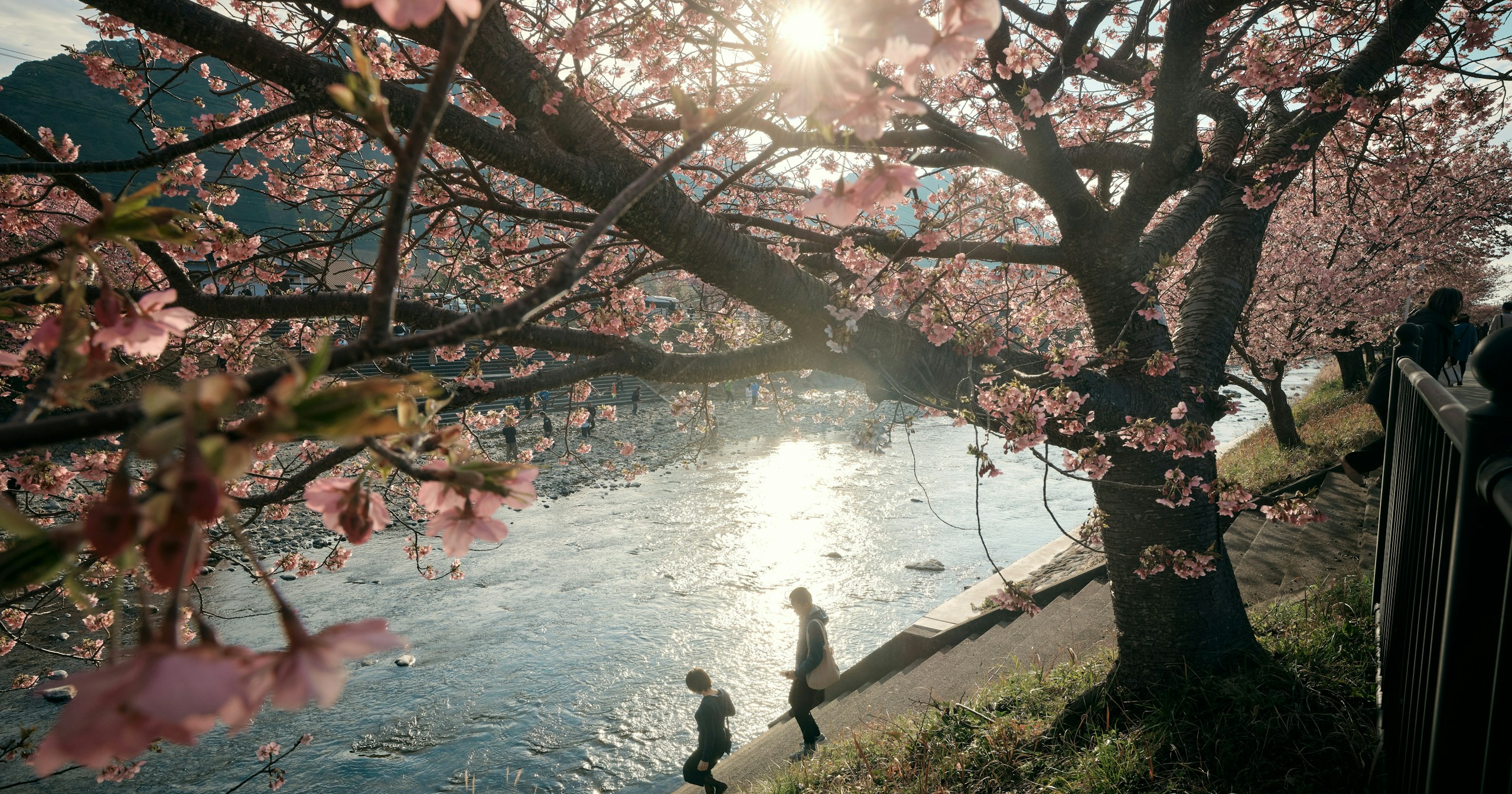 cizucu Hosts 'Spring Awakening' Award Announcement | Challenge #204