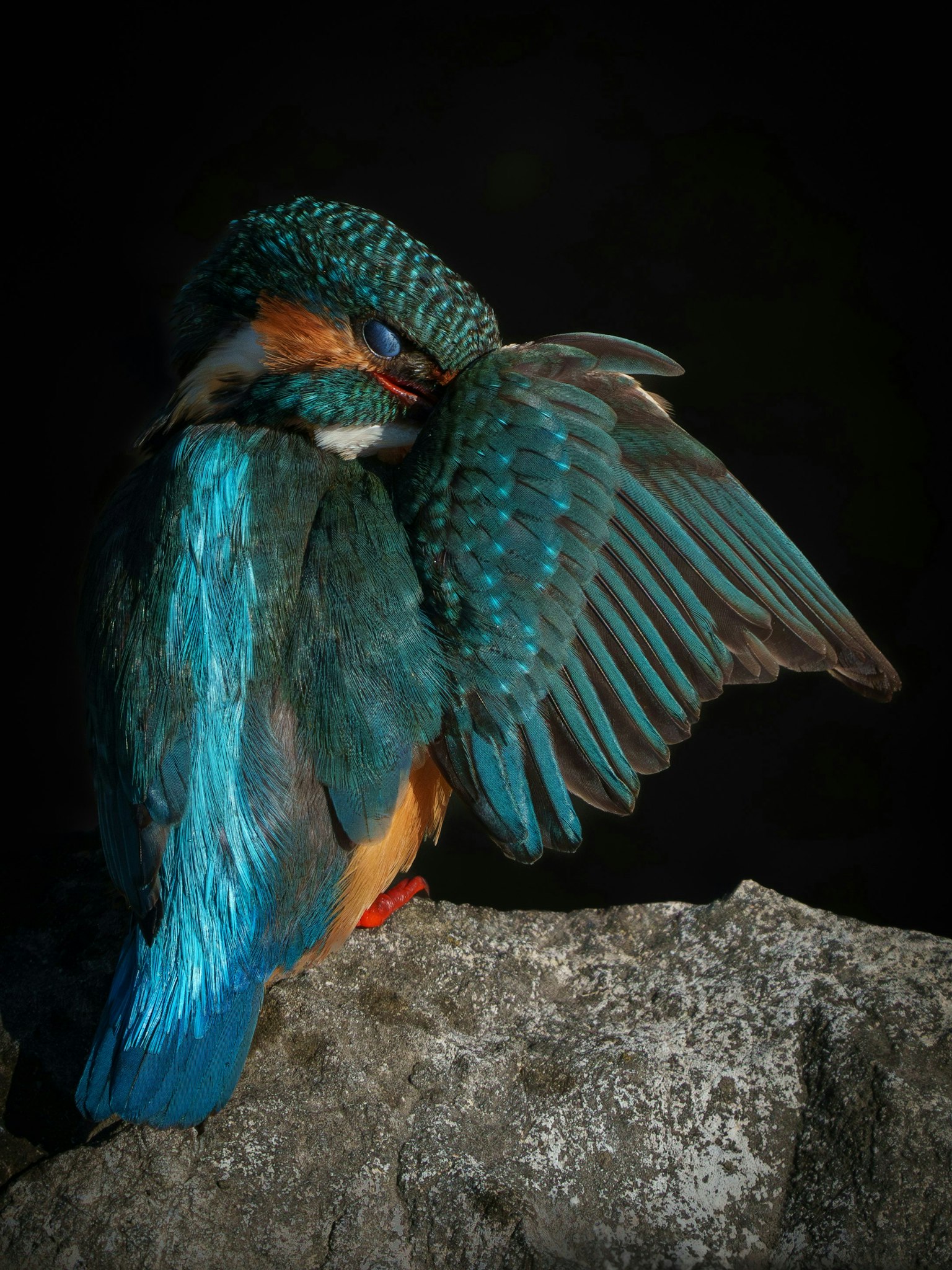 2025-04-masa-10-questions-image-21