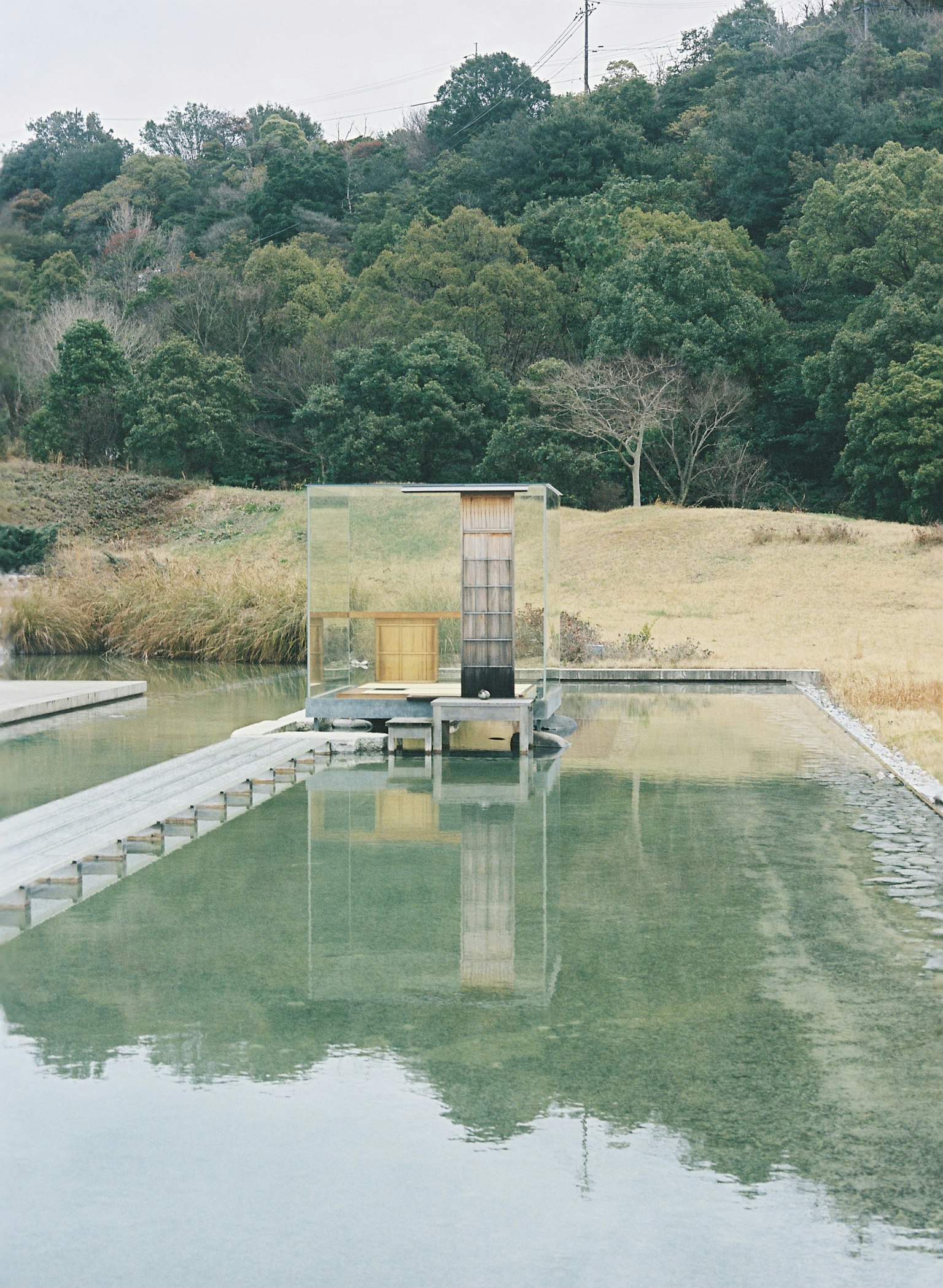 2024-05-lomography-iso-800-image-15