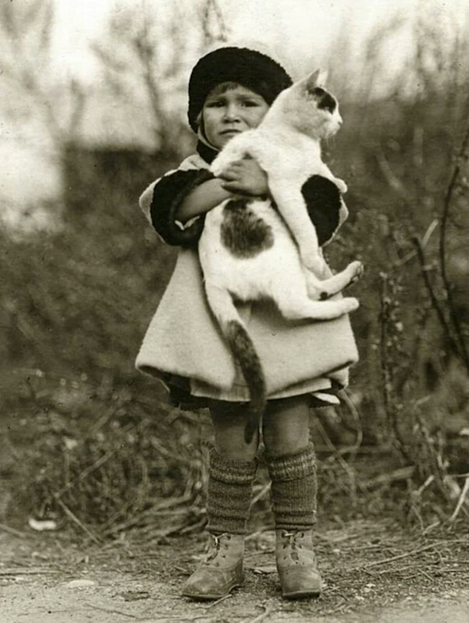 2024-03-photorgraphys-pioneer-pets-image-13
