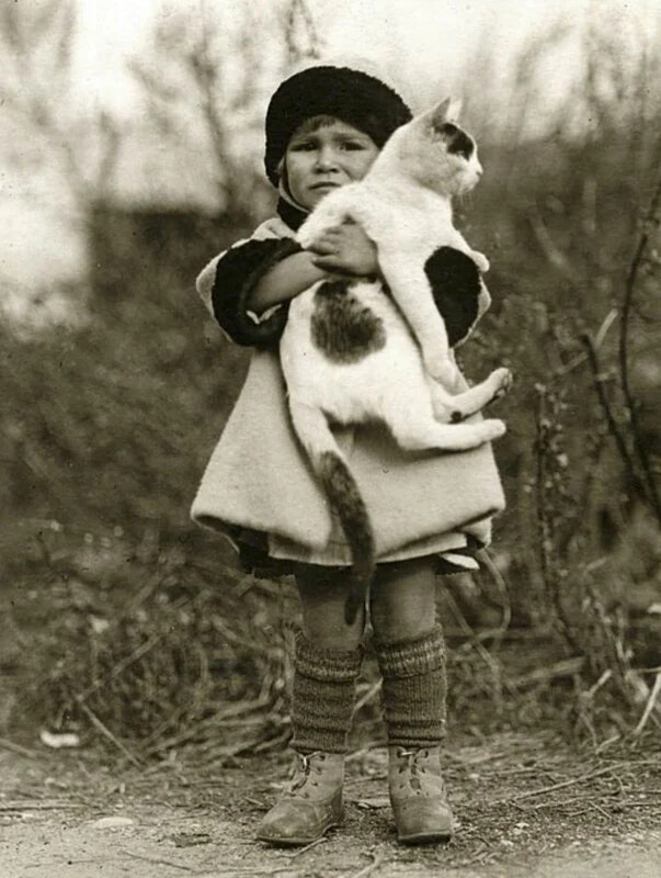 2024-03-photorgraphys-pioneer-pets-image-13