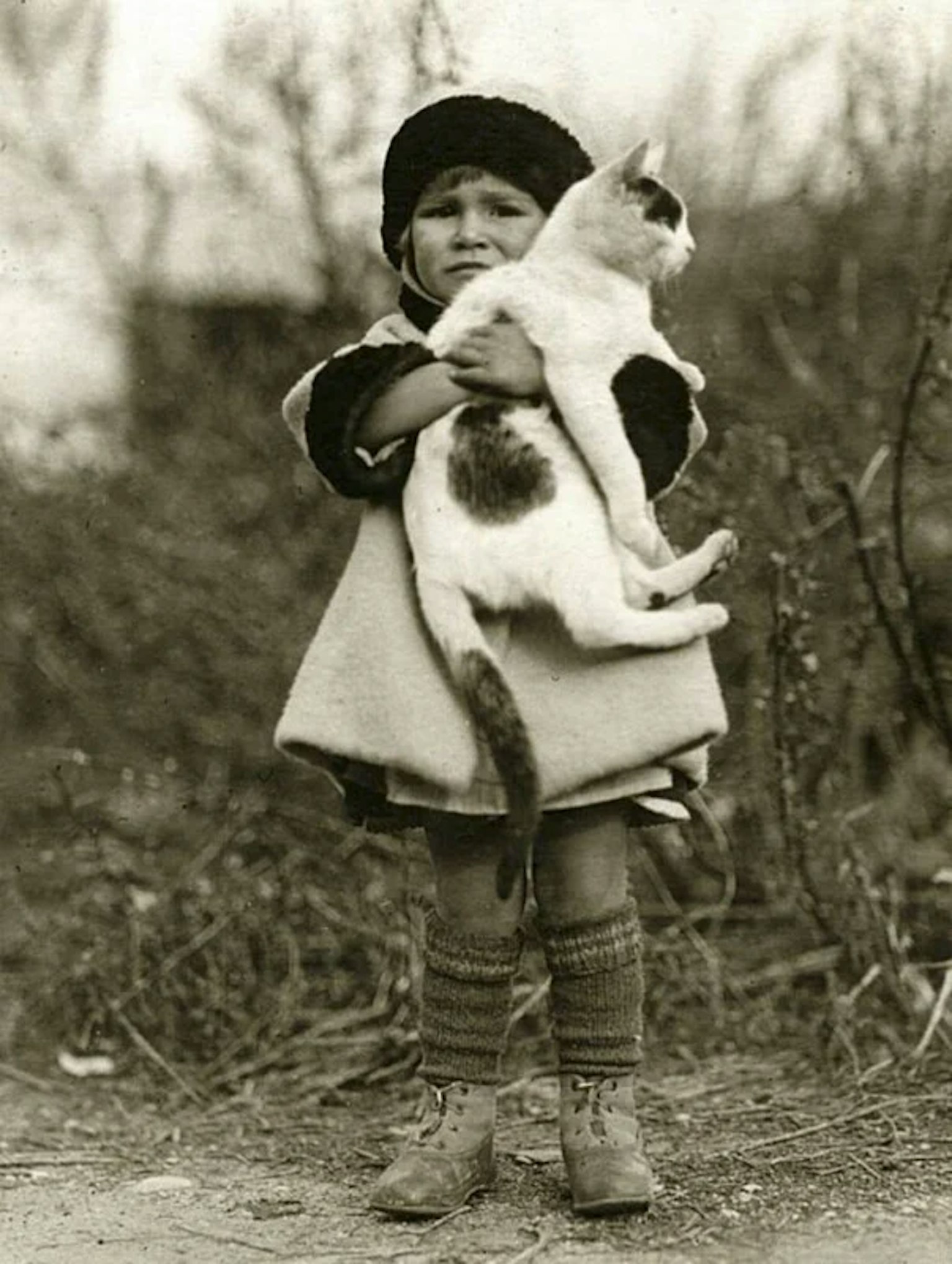 2024-03-photorgraphys-pioneer-pets-image-13