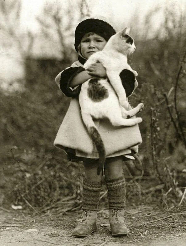2024-03-photorgraphys-pioneer-pets-image-13