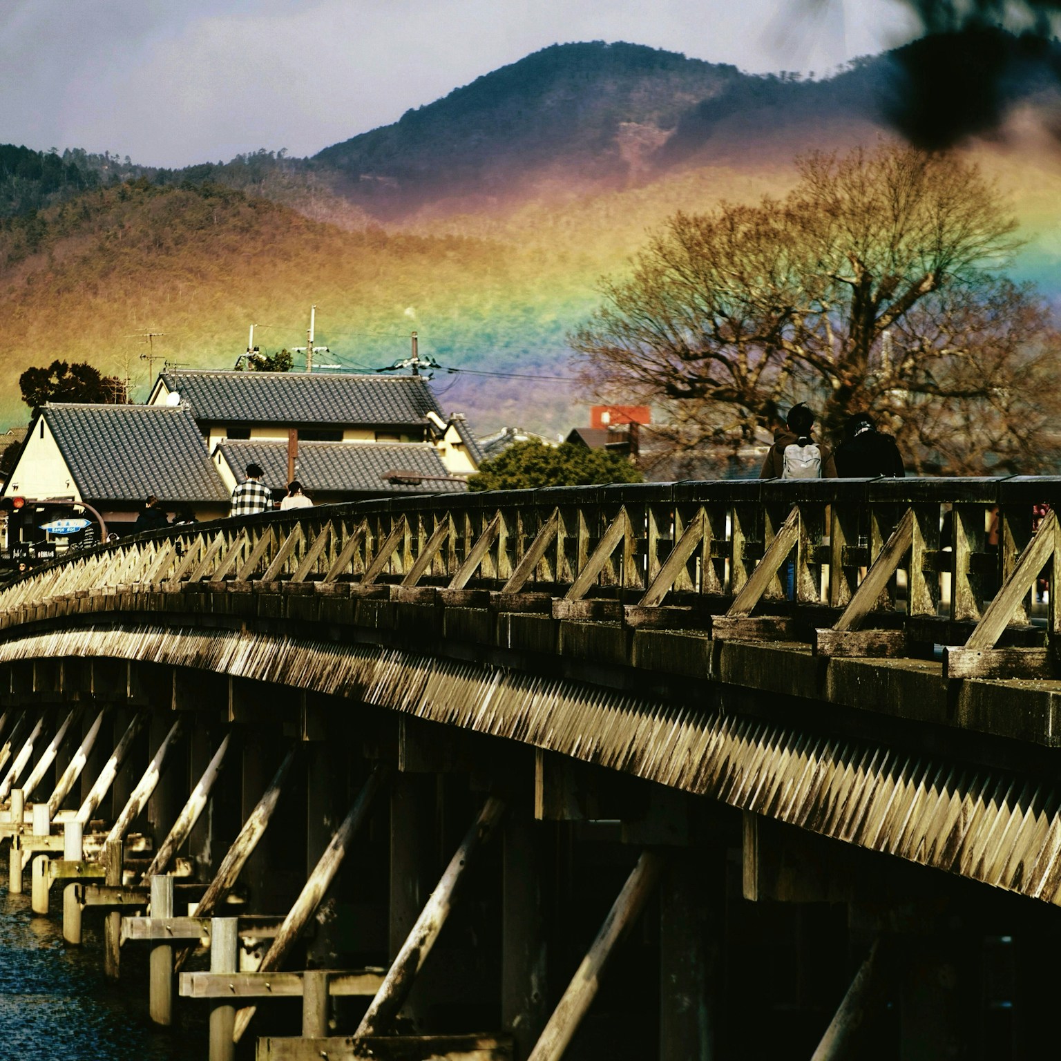2025-04-oshanpo-cover-image
