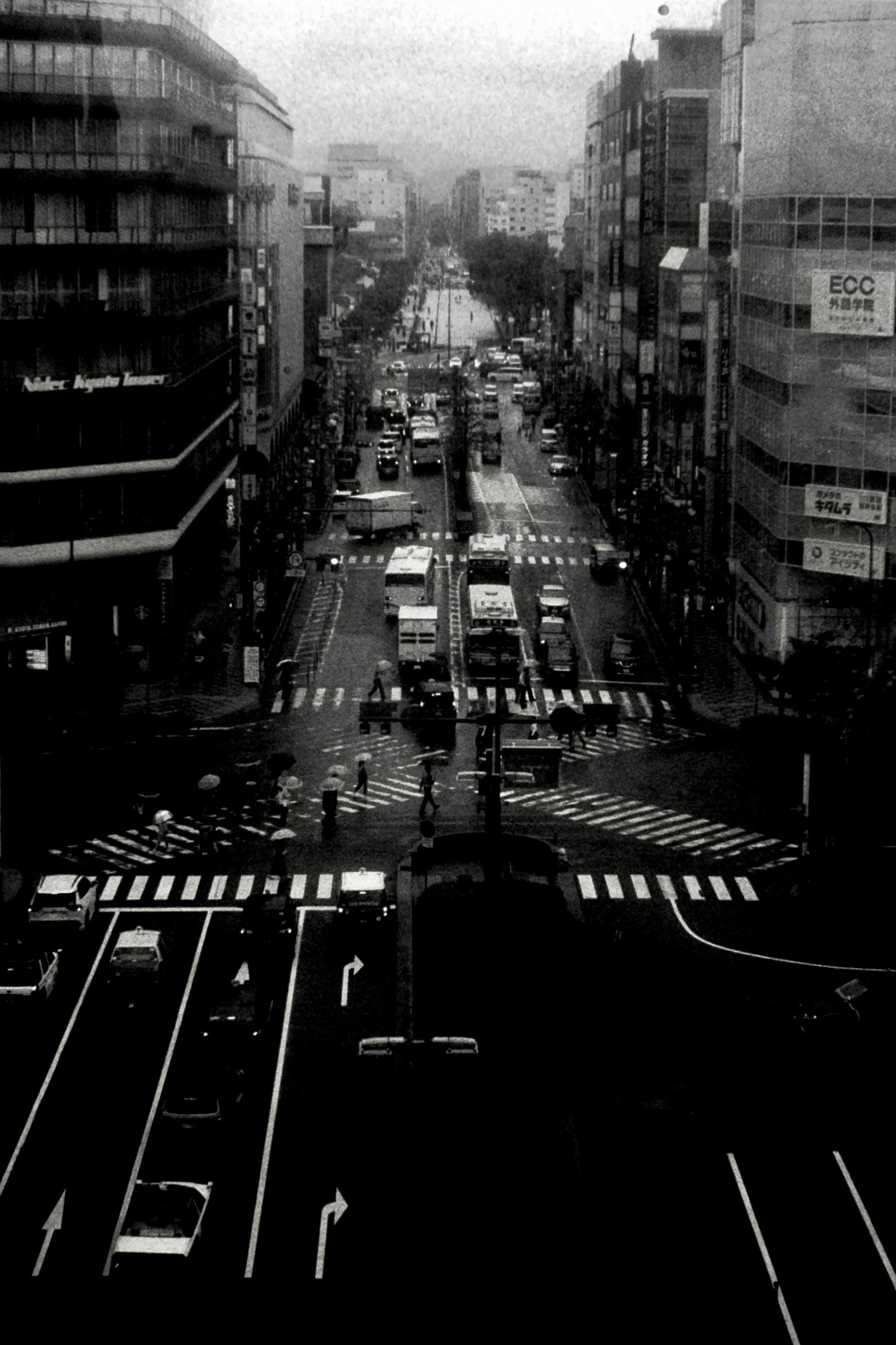 2026-05-in-the-rain-image-6