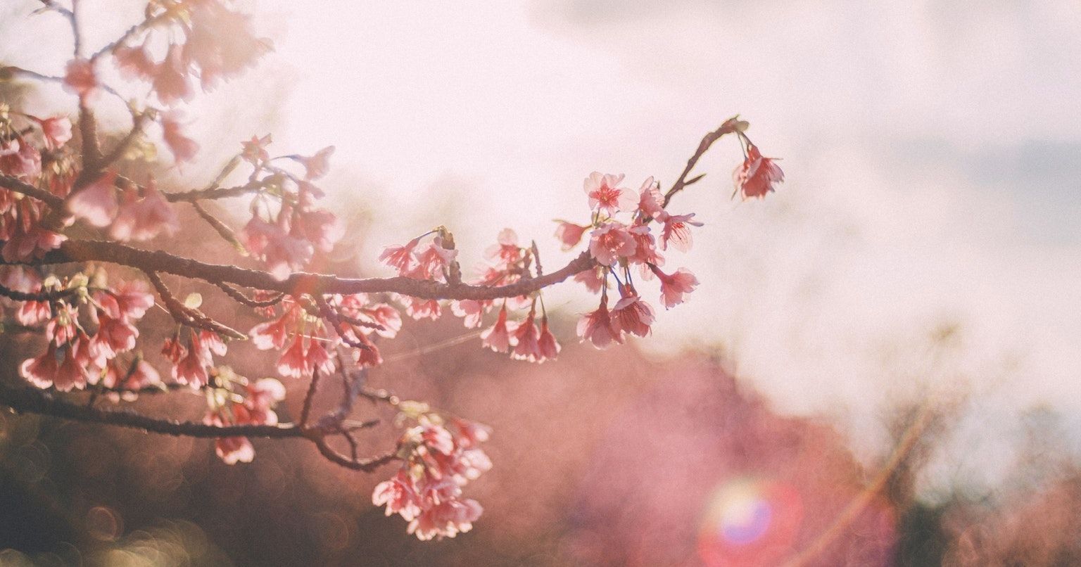 2024-09-updf-drives-creativity-cover-image