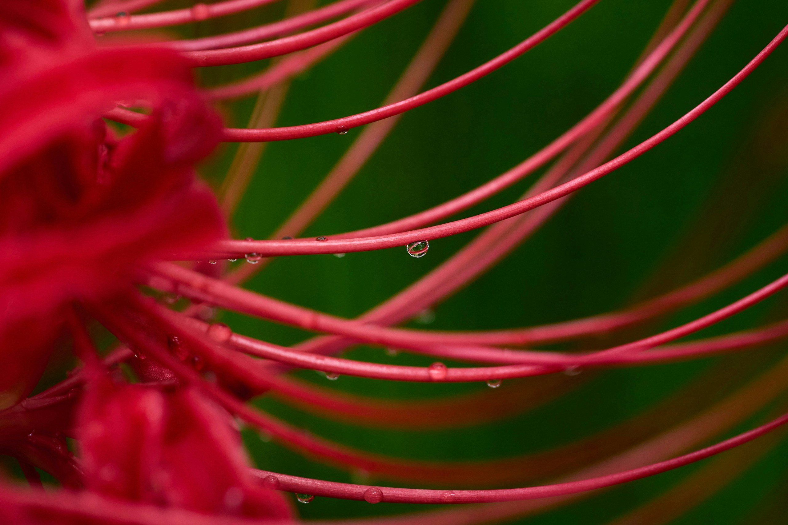 2026-04-find-new-pieces-flower-image-14