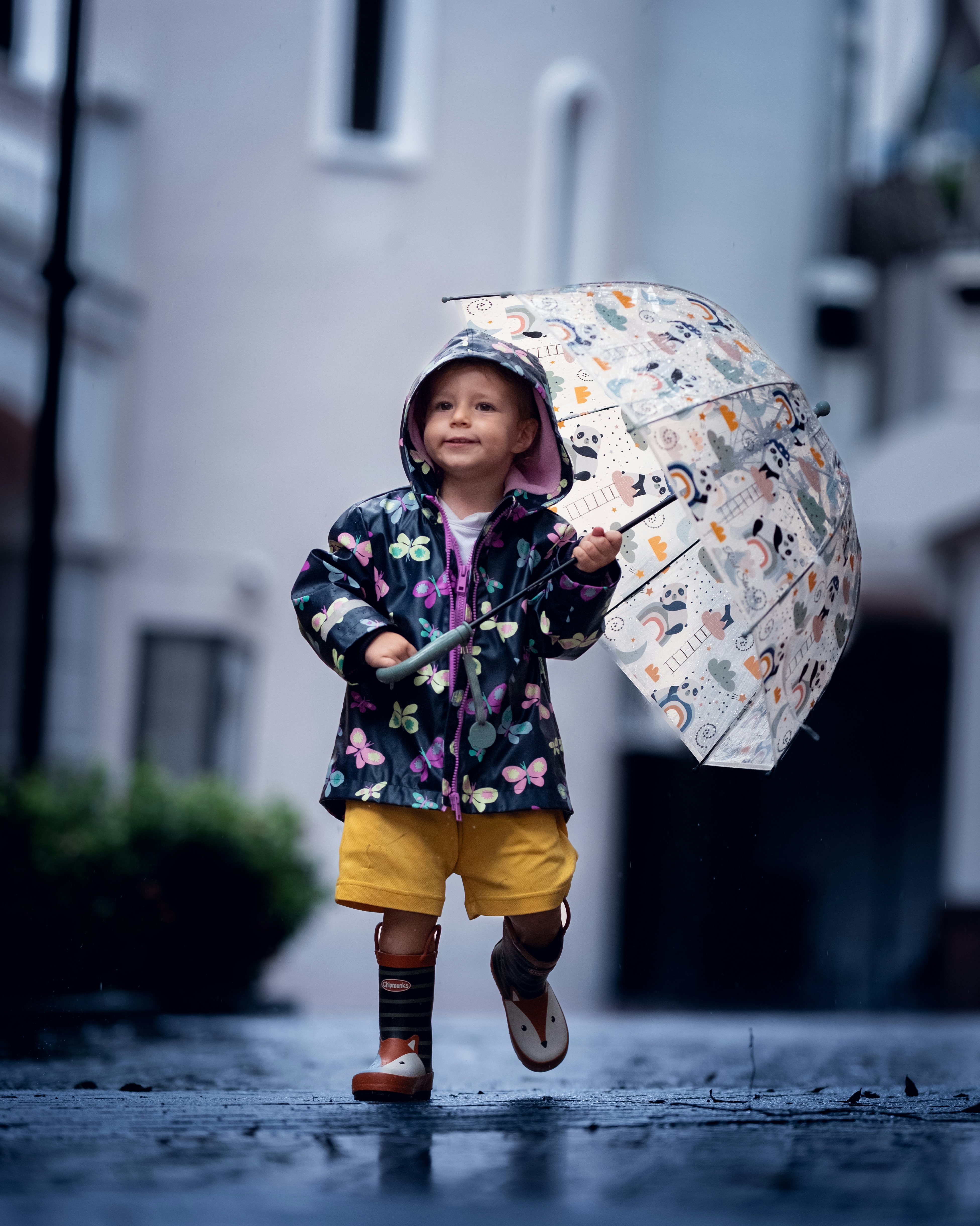 2026-06-rain-image-4