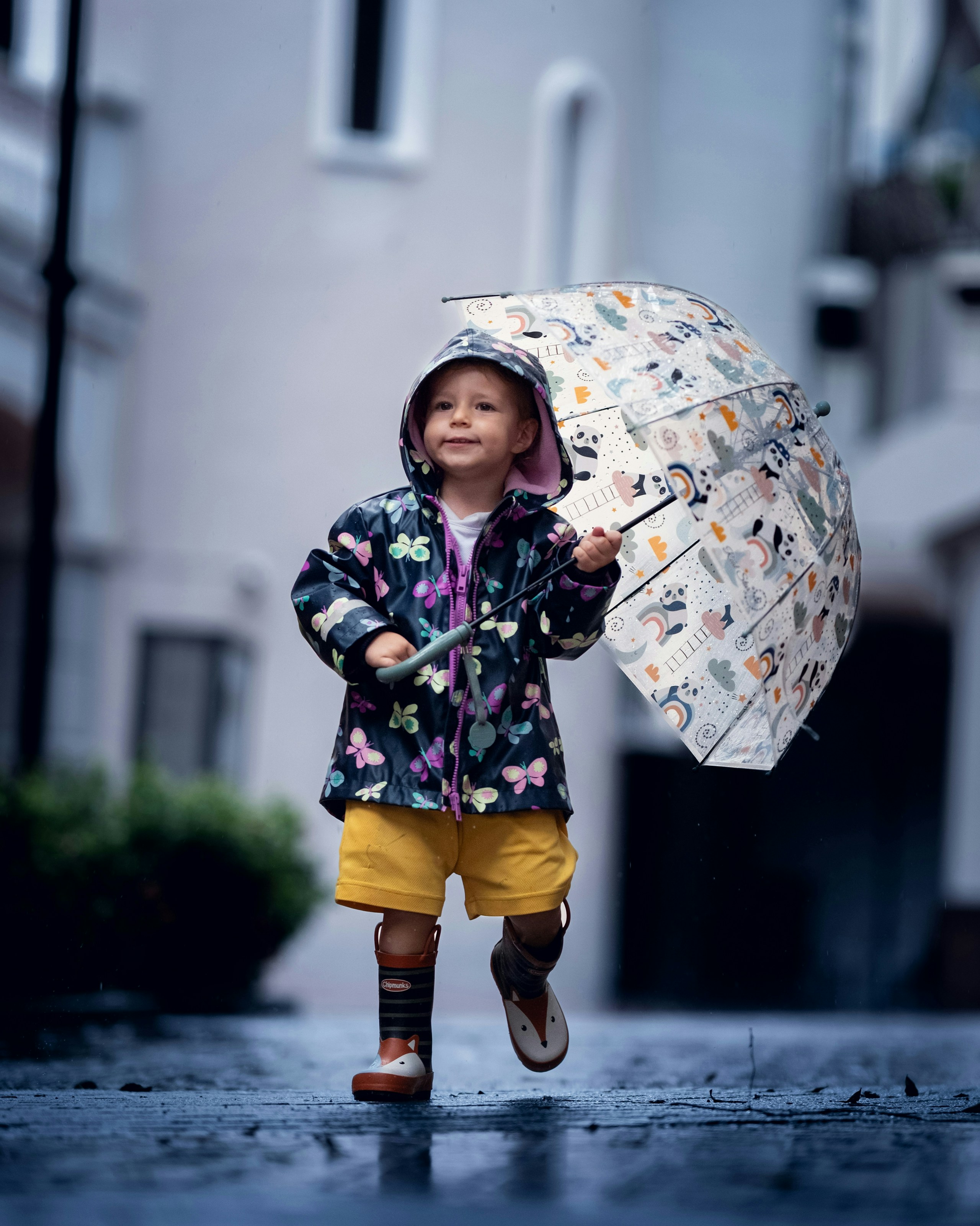 2026-06-rain-image-4