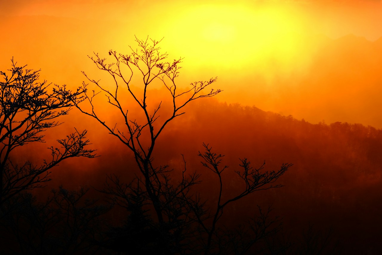 Image by crossroad0201