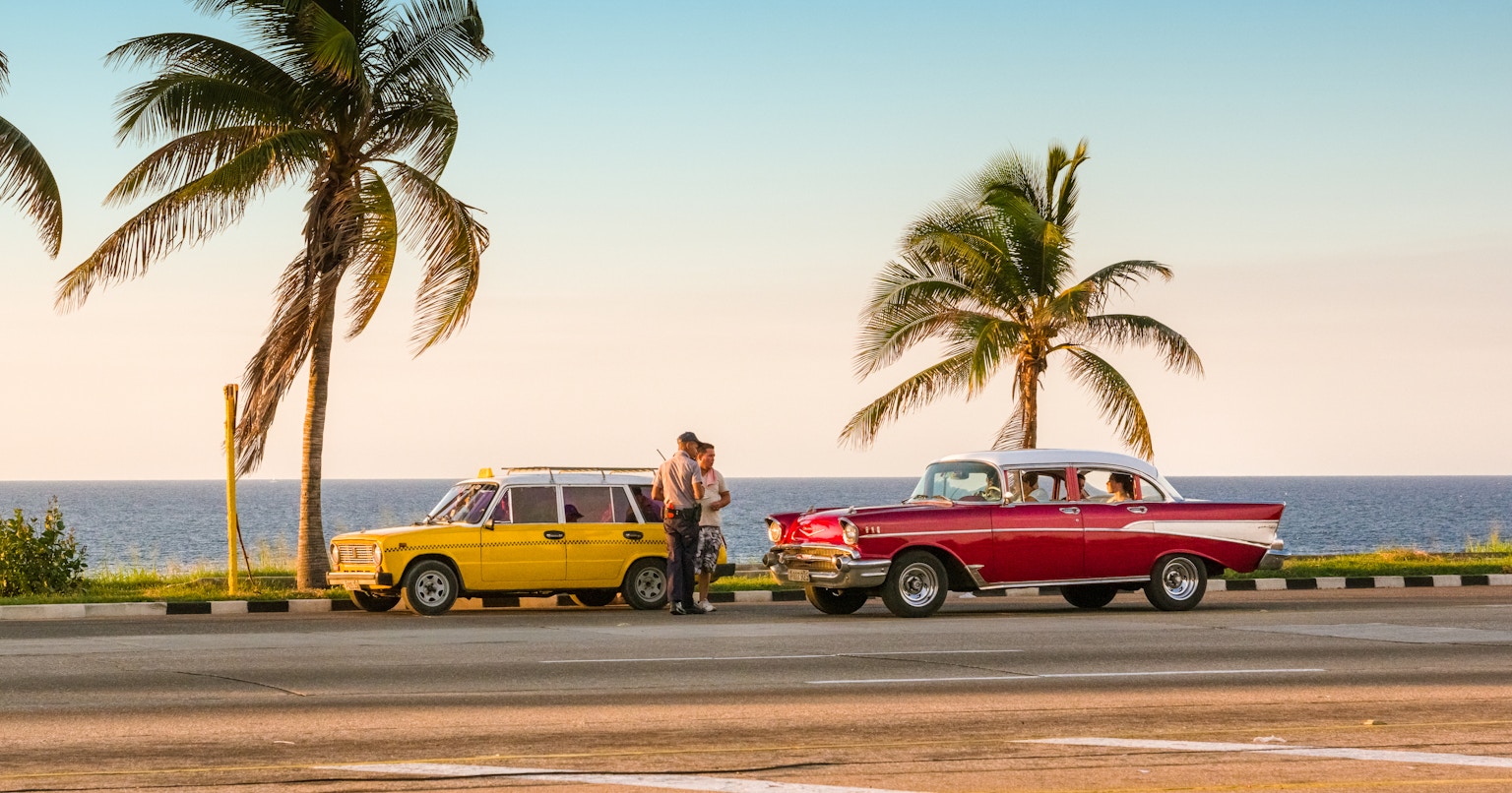 2024-06-early-summerluck-cover-image