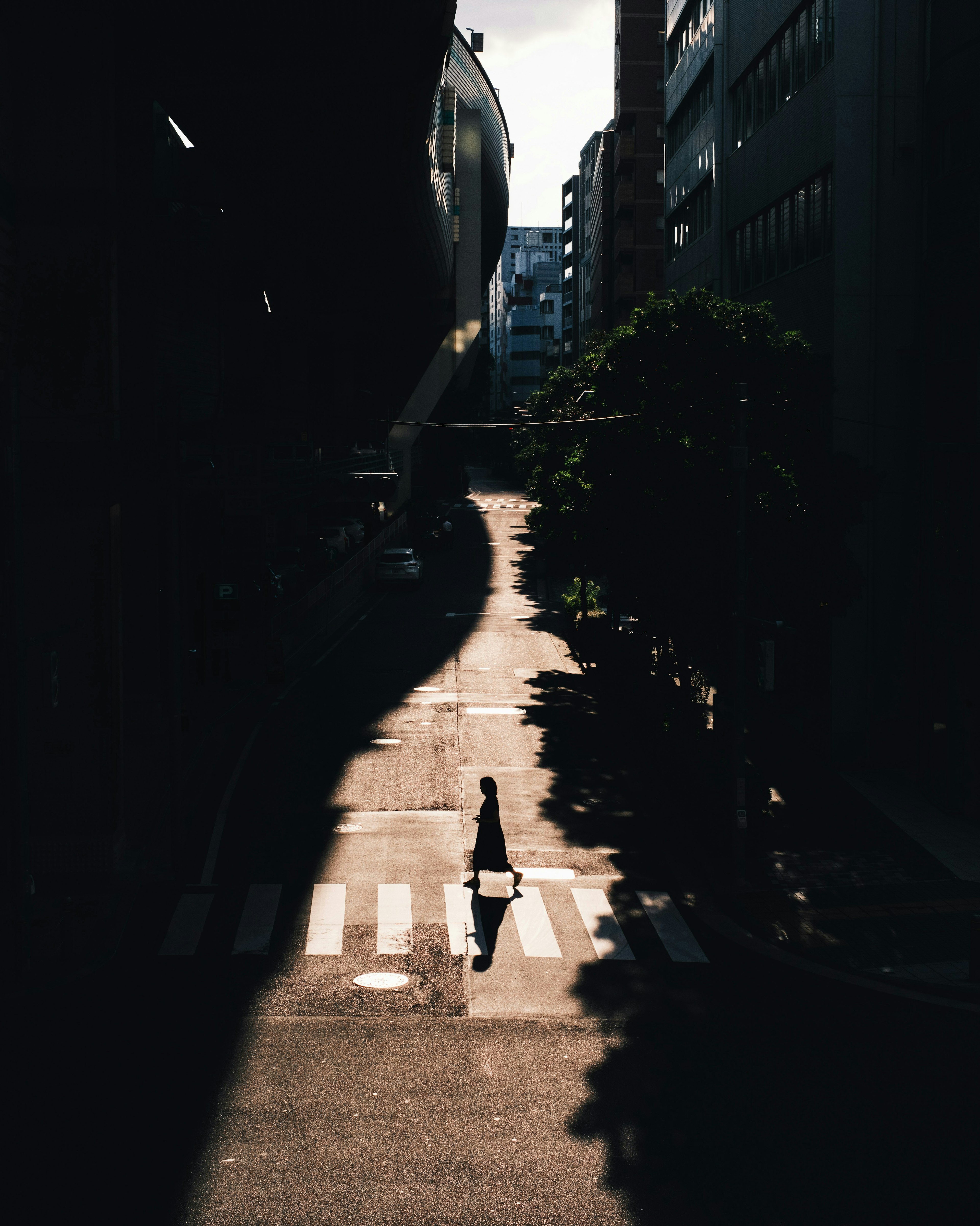 2025-05-leica-greg-williams-artist-look-image-10