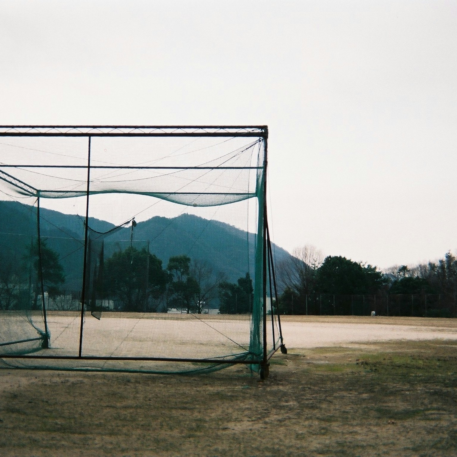 2024-06-disposable-vs-used-camera-cover-image