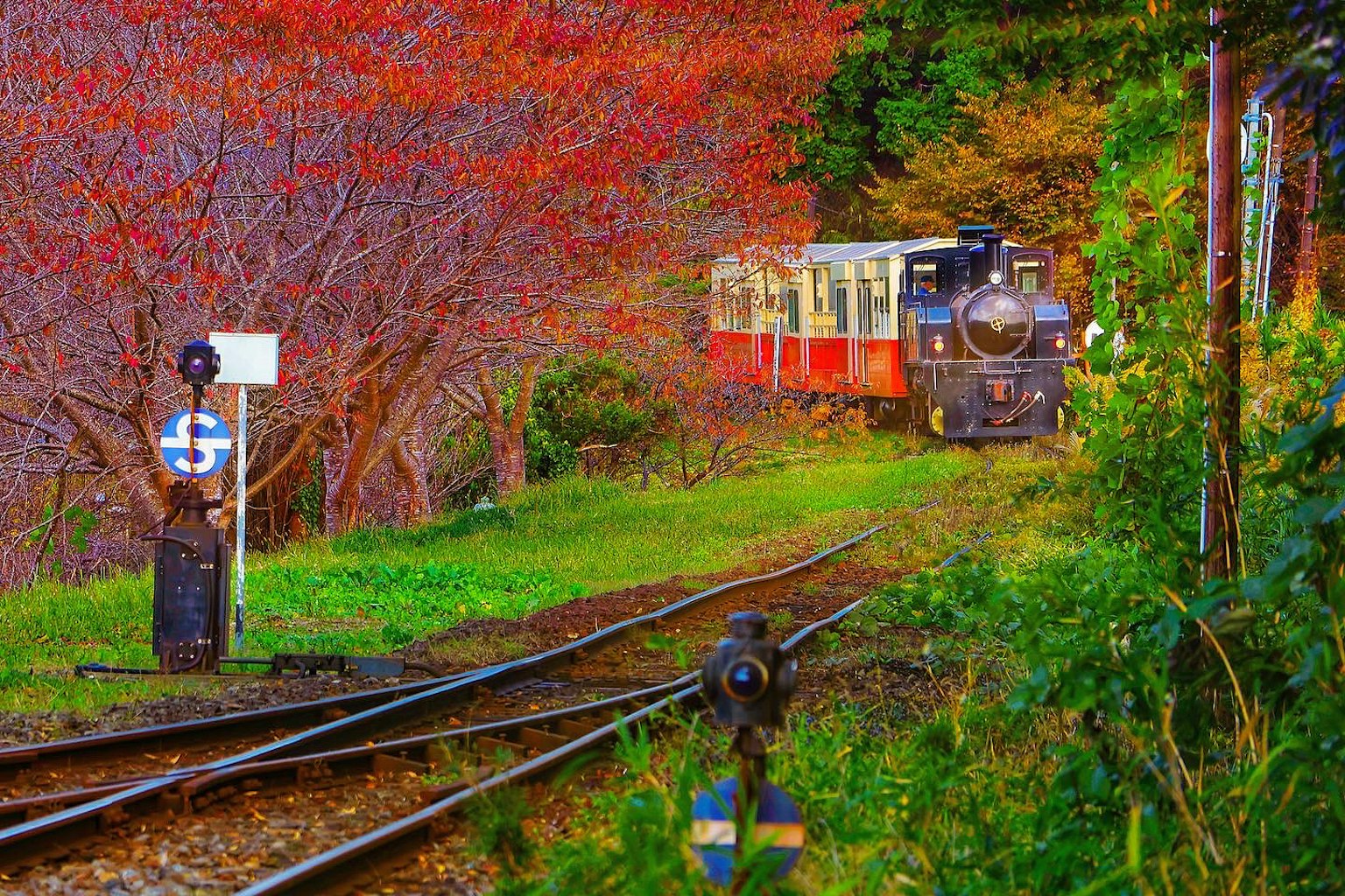 2023-10-fall-in-autumn-award-image-3