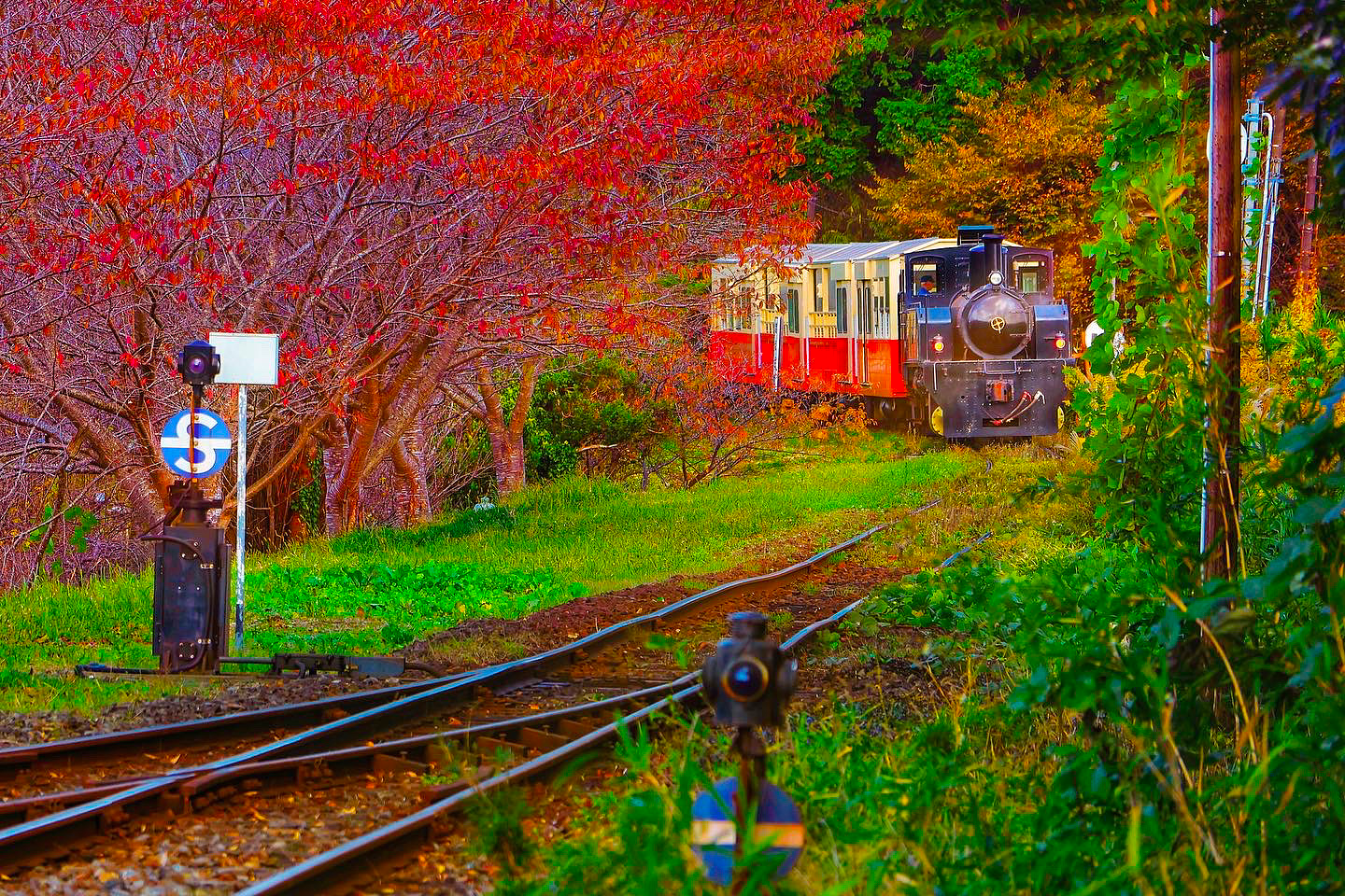2023-10-fall-in-autumn-award-image-3