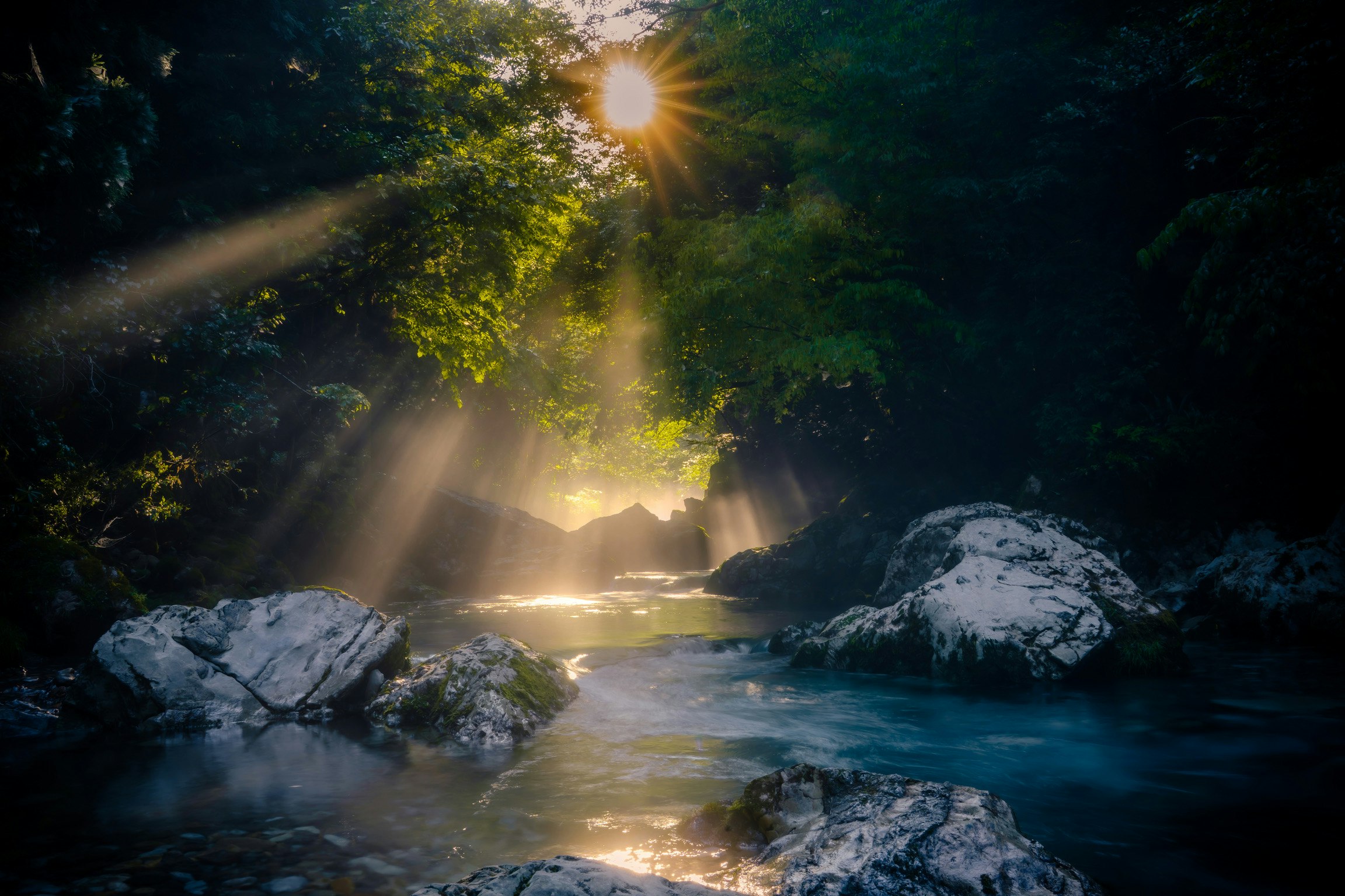 2025-12-backlight-report-image-9