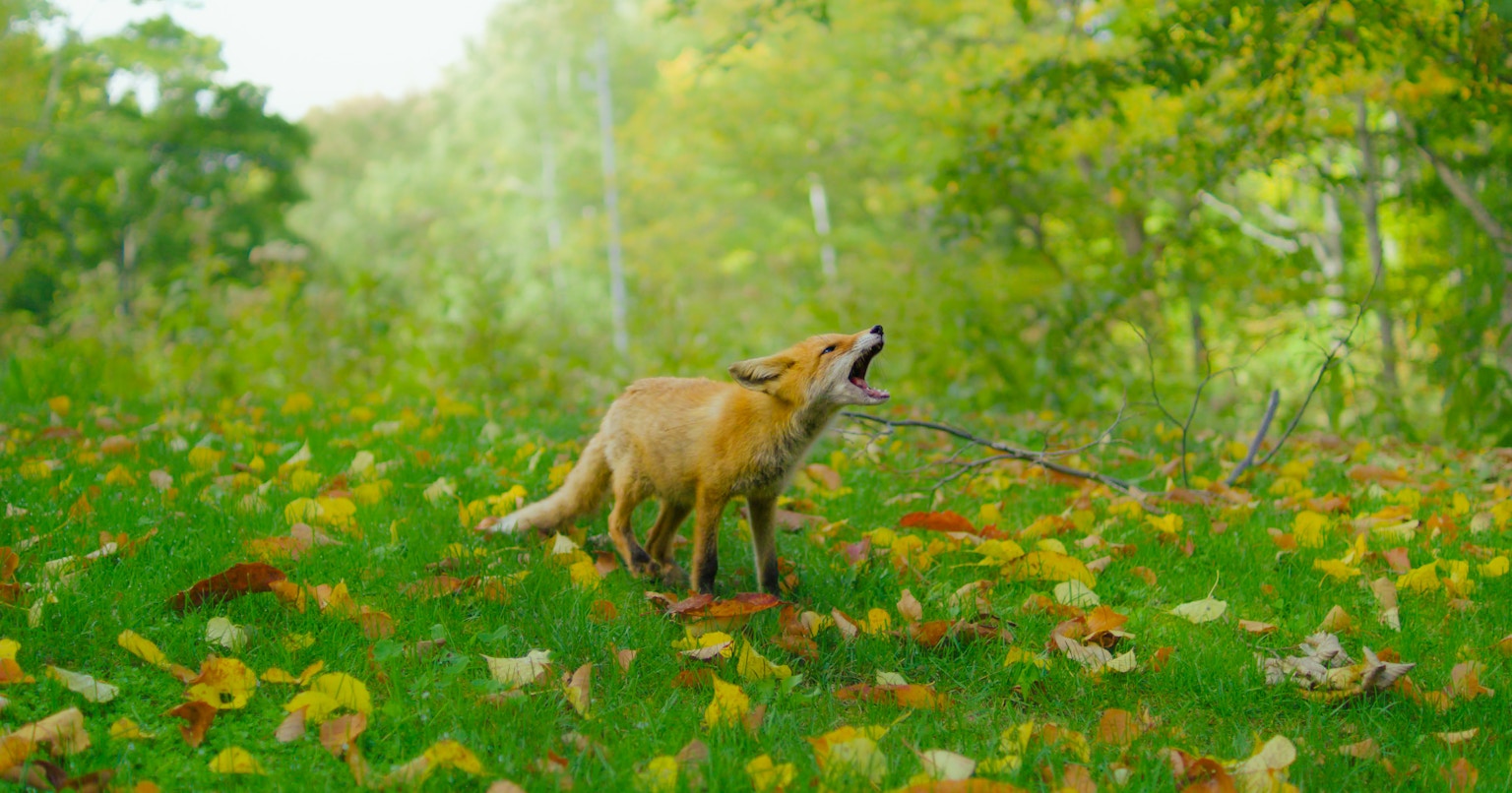 2024-10-in-their-world-award-cover-image