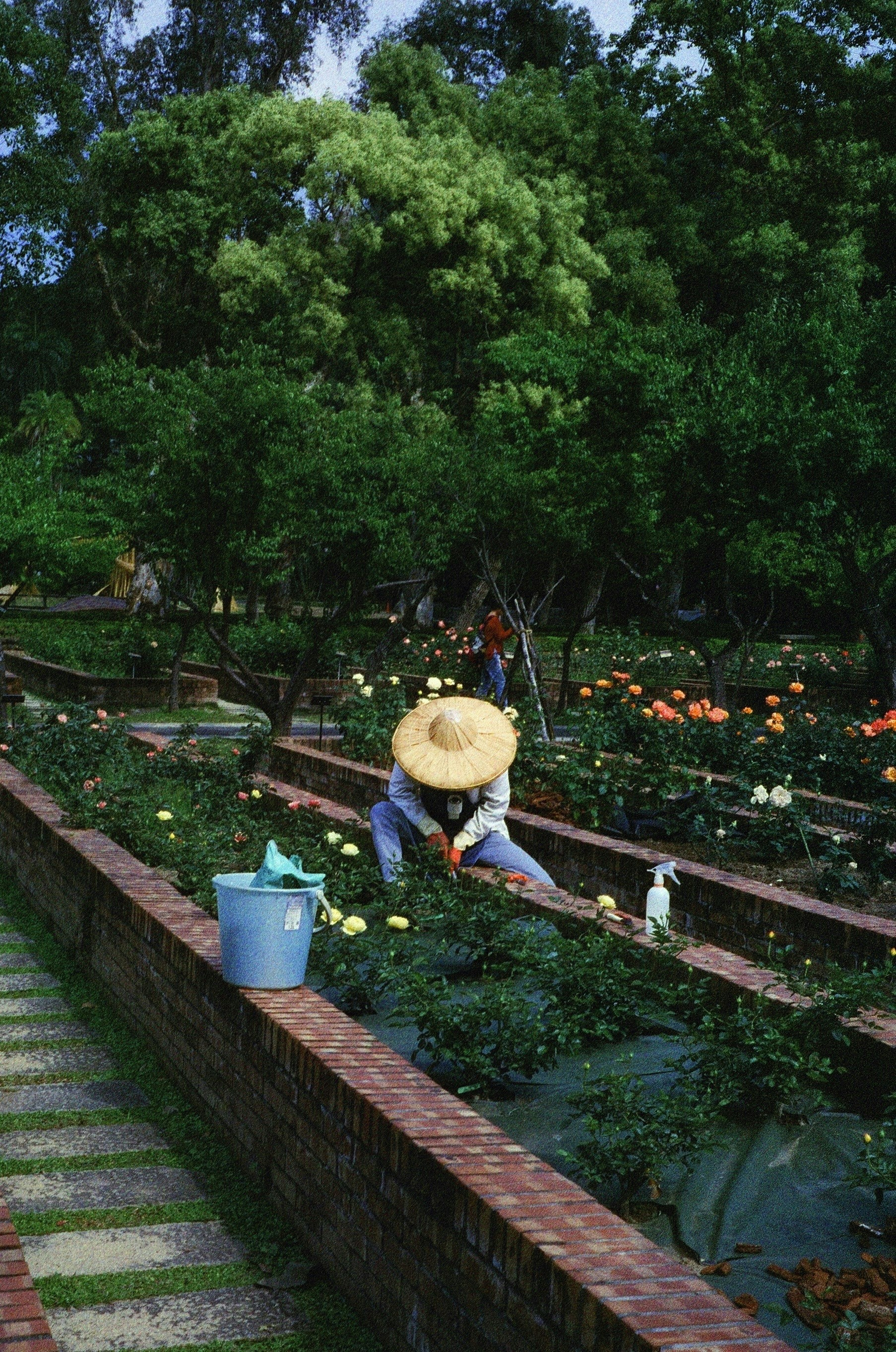 Photo by uni.z3