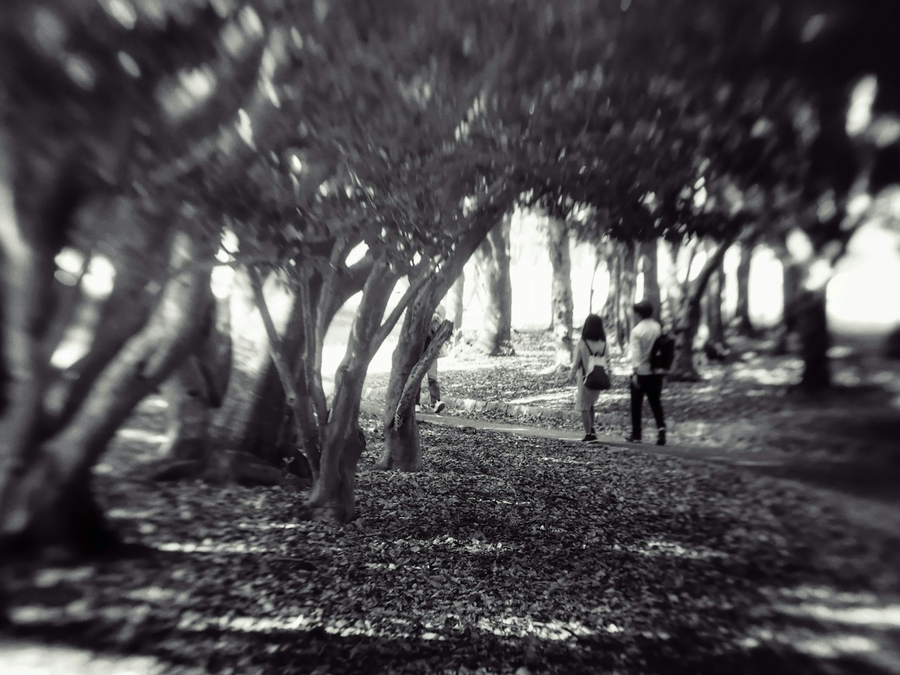 Photo by RYUURI