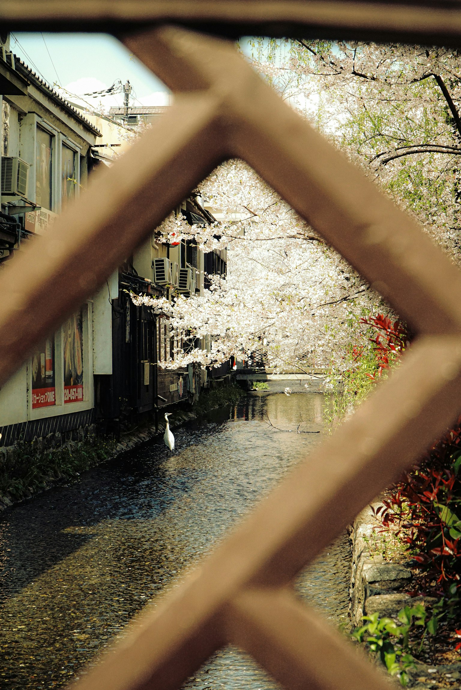 2025-11-pick-up-photos-no-244-248-image-5