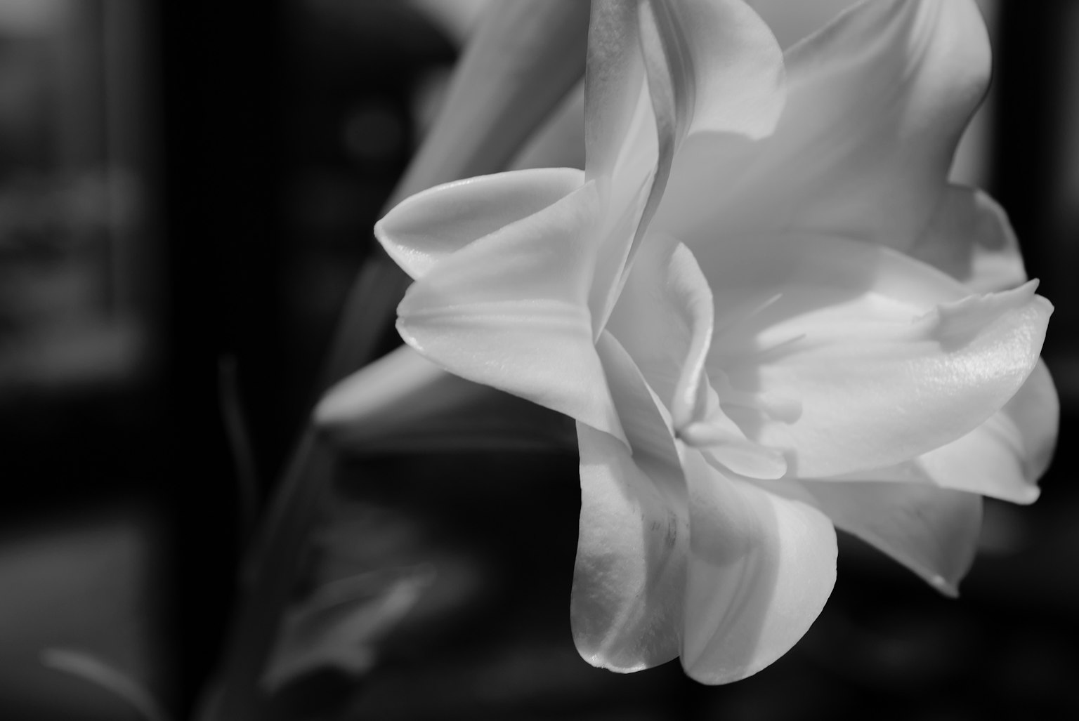 2024-02-introduce-leica-image-8