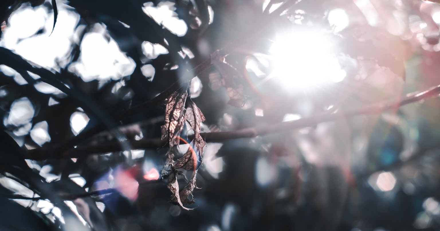 2024-05-in-search-of-lost-time-cover-image