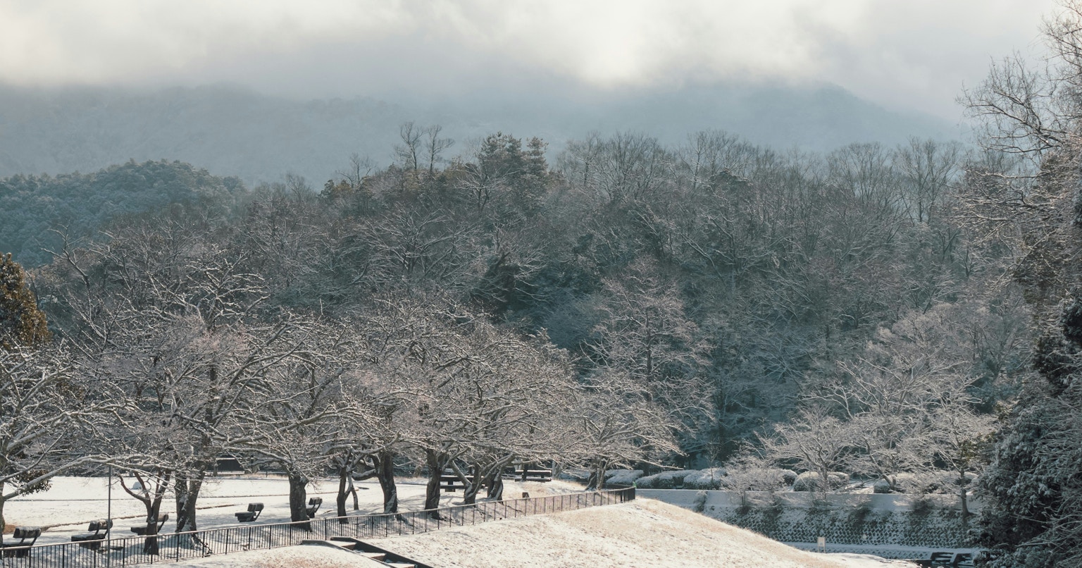 2025-03-living-tomorrow-award-cover-image